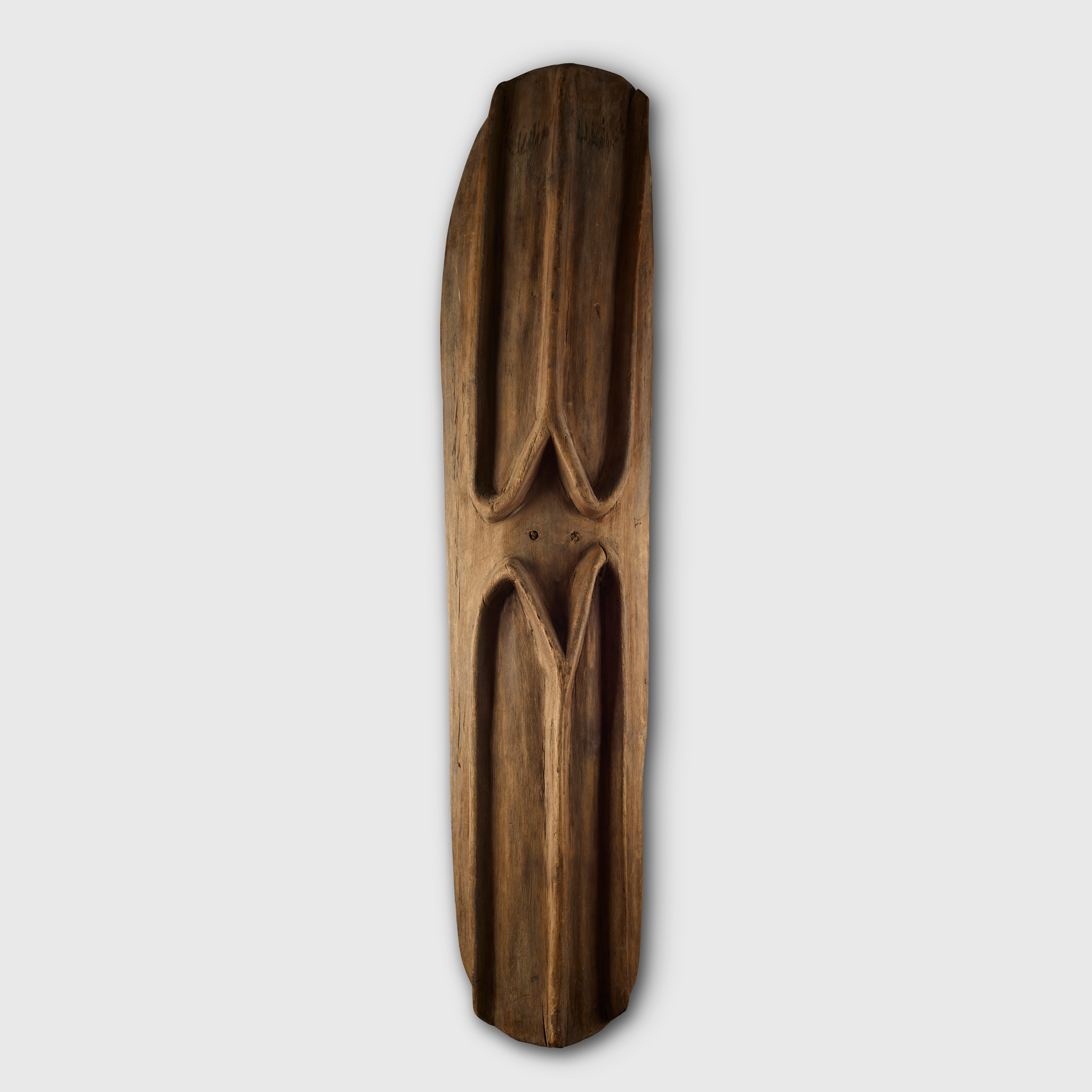 LAE SHIELD