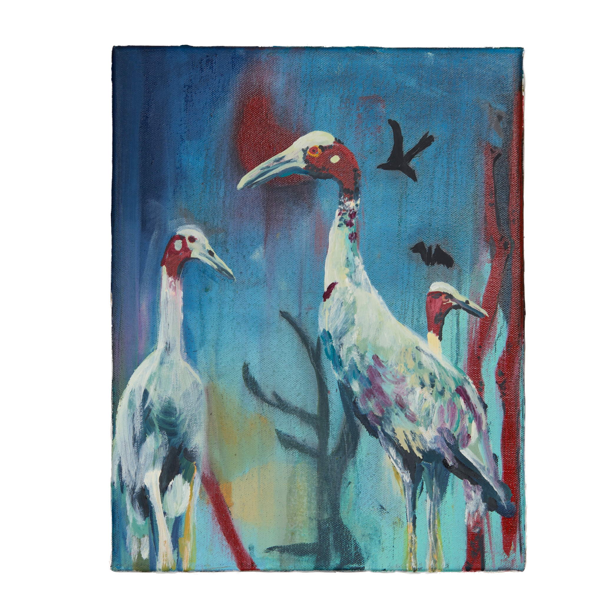 MAIA CRUZ PALILEO (AMERICAN 1979-)