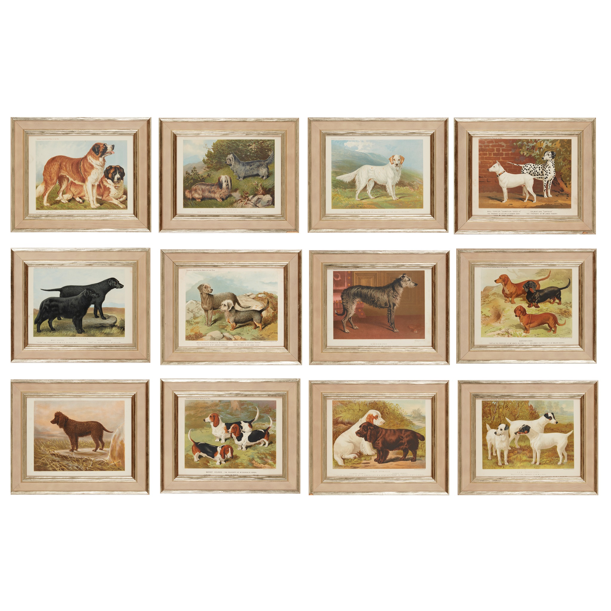 LARGE COLLECTION OF CHROMOLITHOGRAPH PRINTS FROM CASSELL’S 'ILLUSTRATED BOOK OF THE DOG'