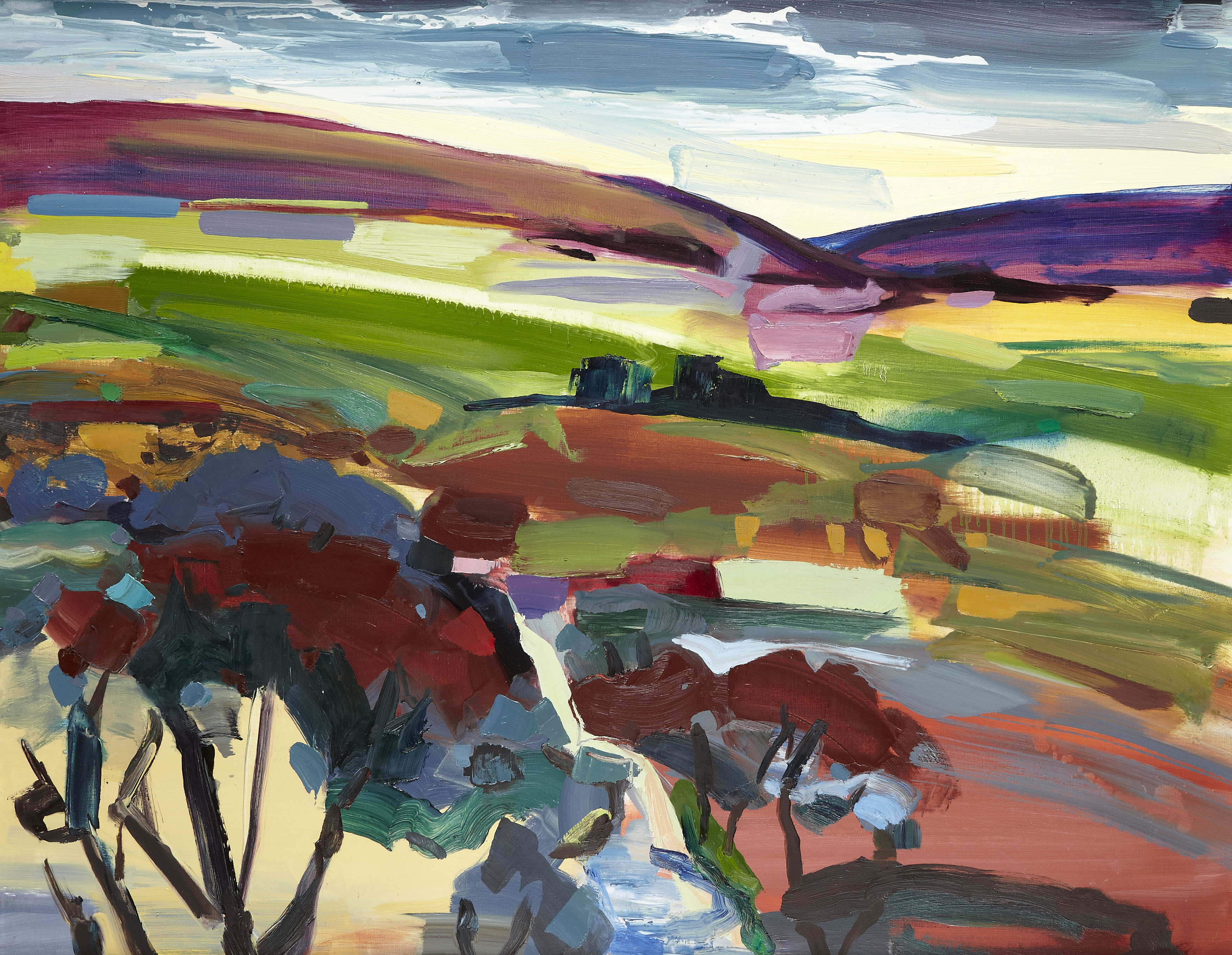 SHONA BARR (SCOTTISH B.1965)