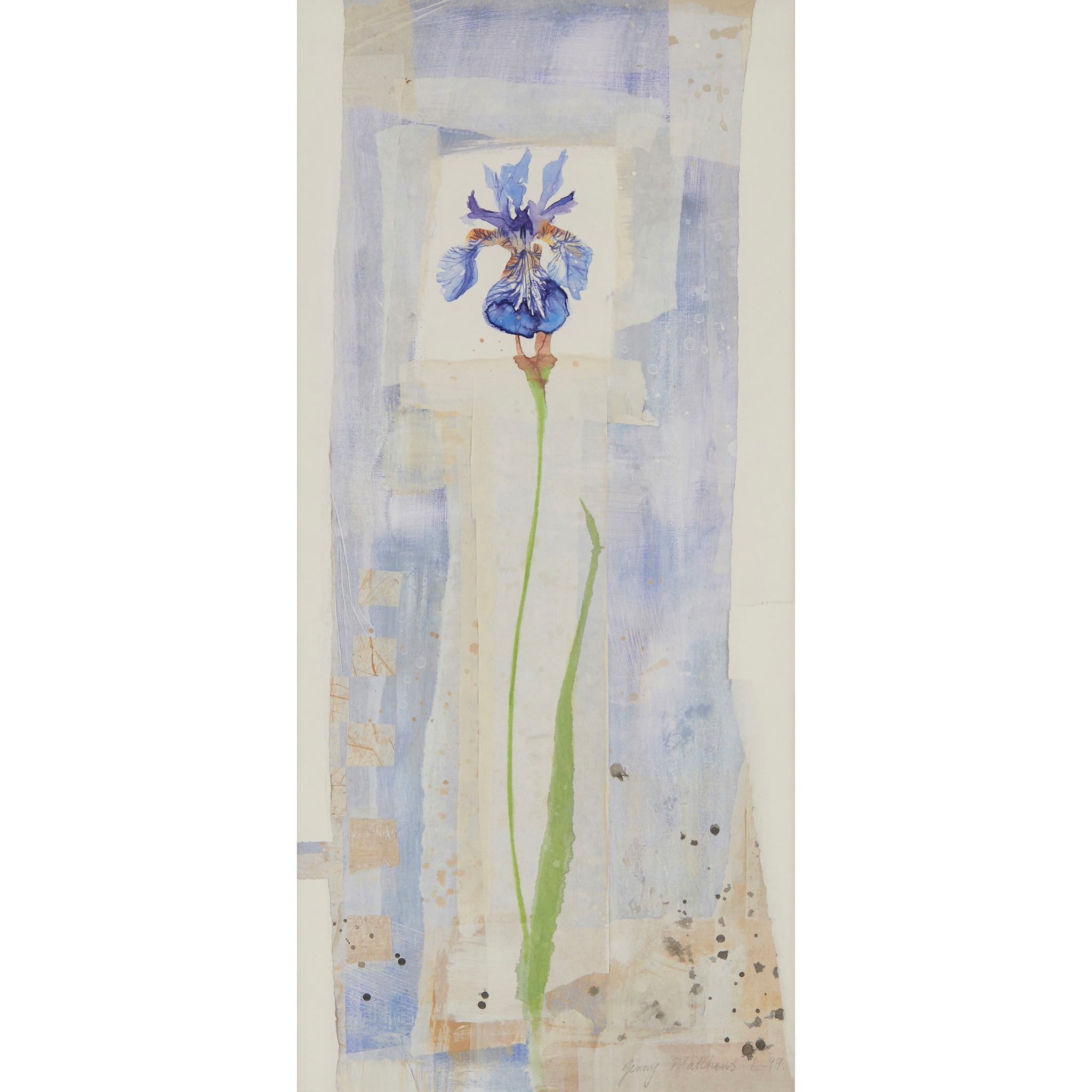 JENNY MATTHEWS (SCOTTISH B.1964)