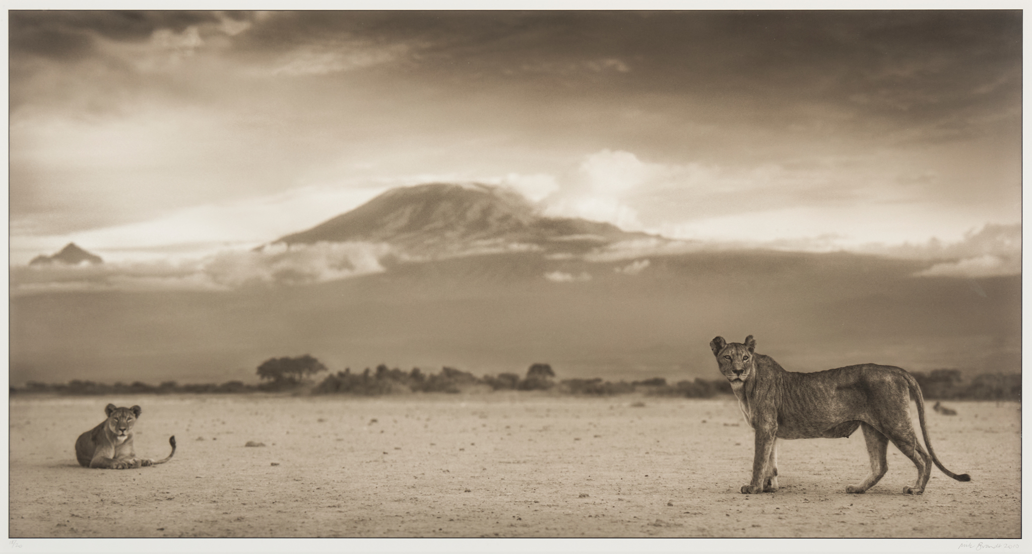 NICK BRANDT (BRITISH 1964-)