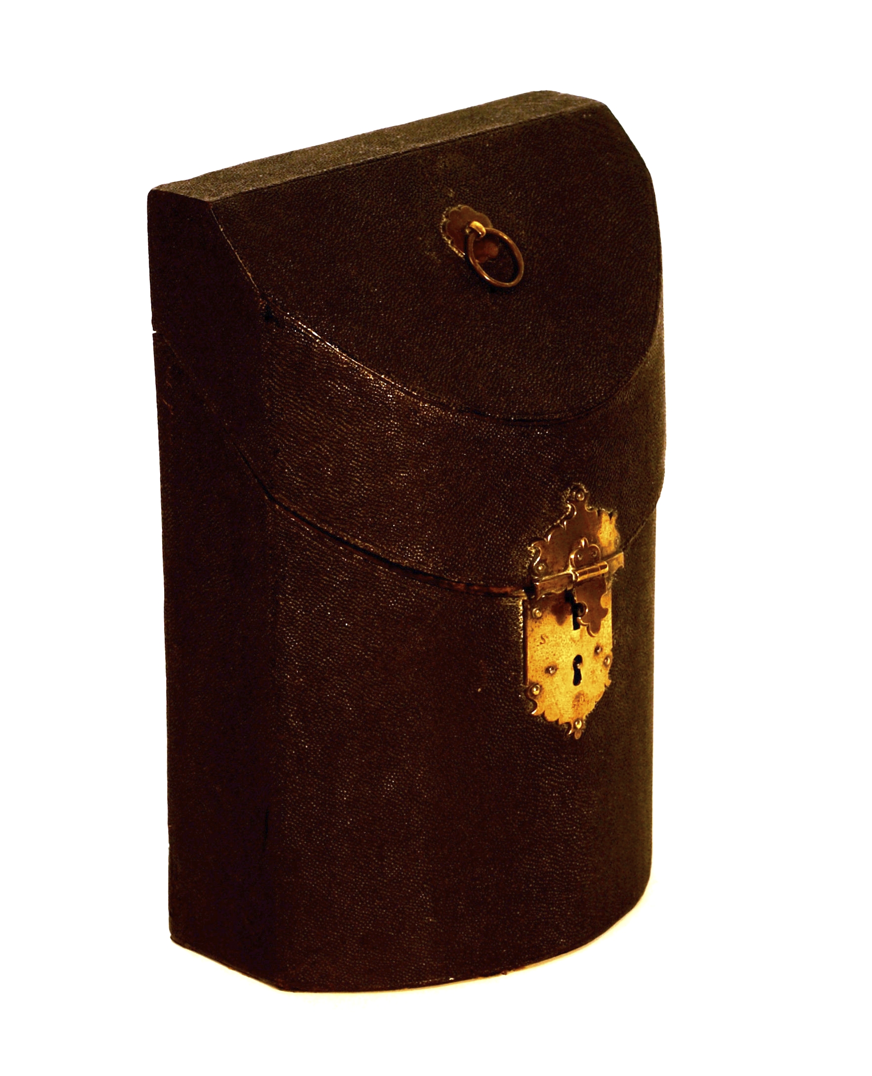 GEORGE III SHAGREEN CUTLERY BOX