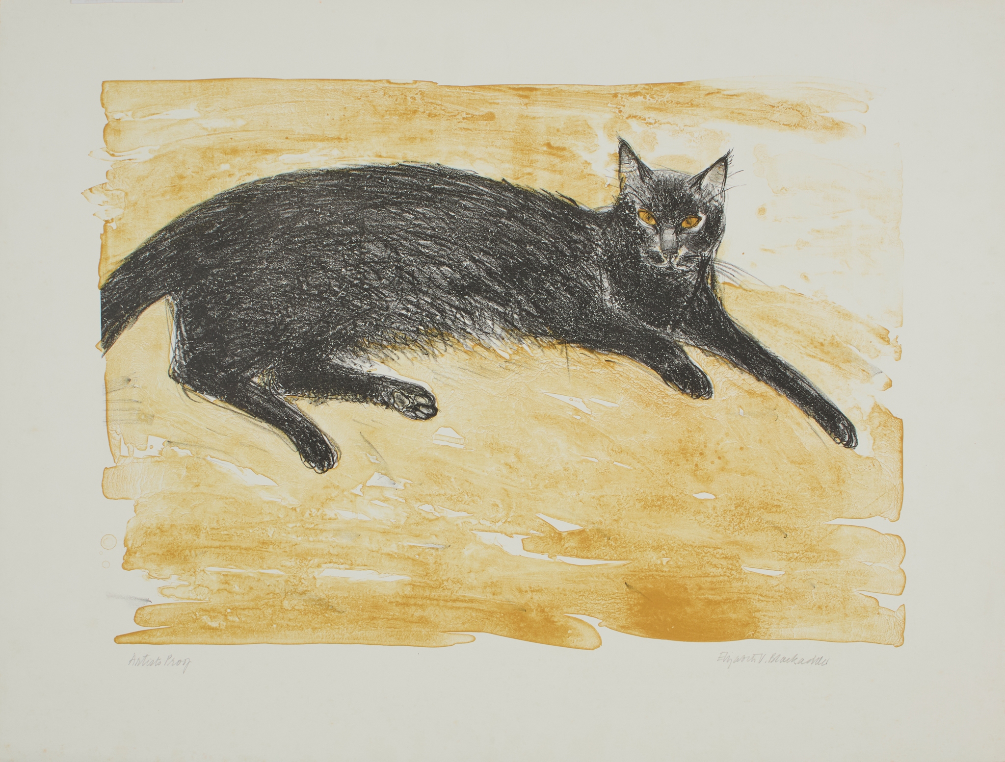 DAME ELIZABETH BLACKADDER O.B.E., R.A., R.S.A., R.S.W., R.G.I., D.Litt (SCOTTISH 1931-2021)