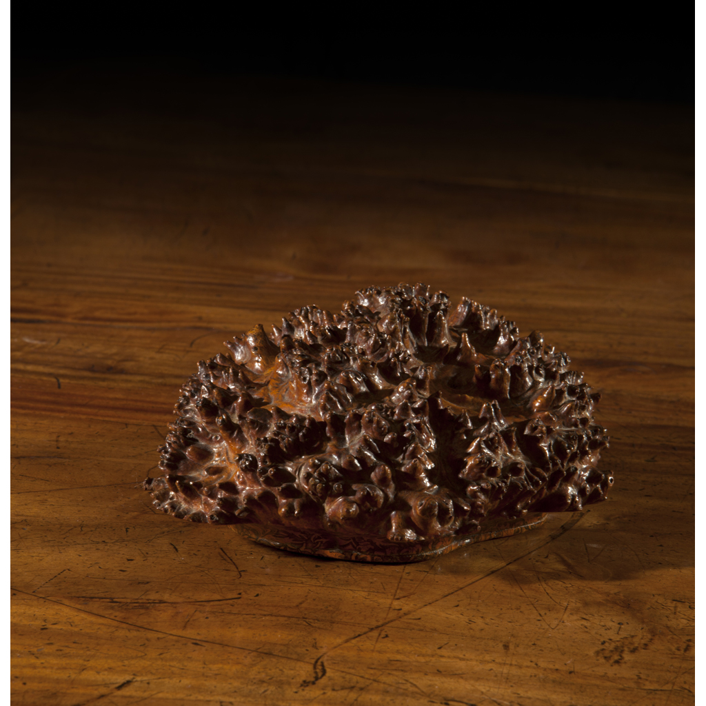 A VICTORIAN SCOTTISH ROOTWOOD SNUFF BOX