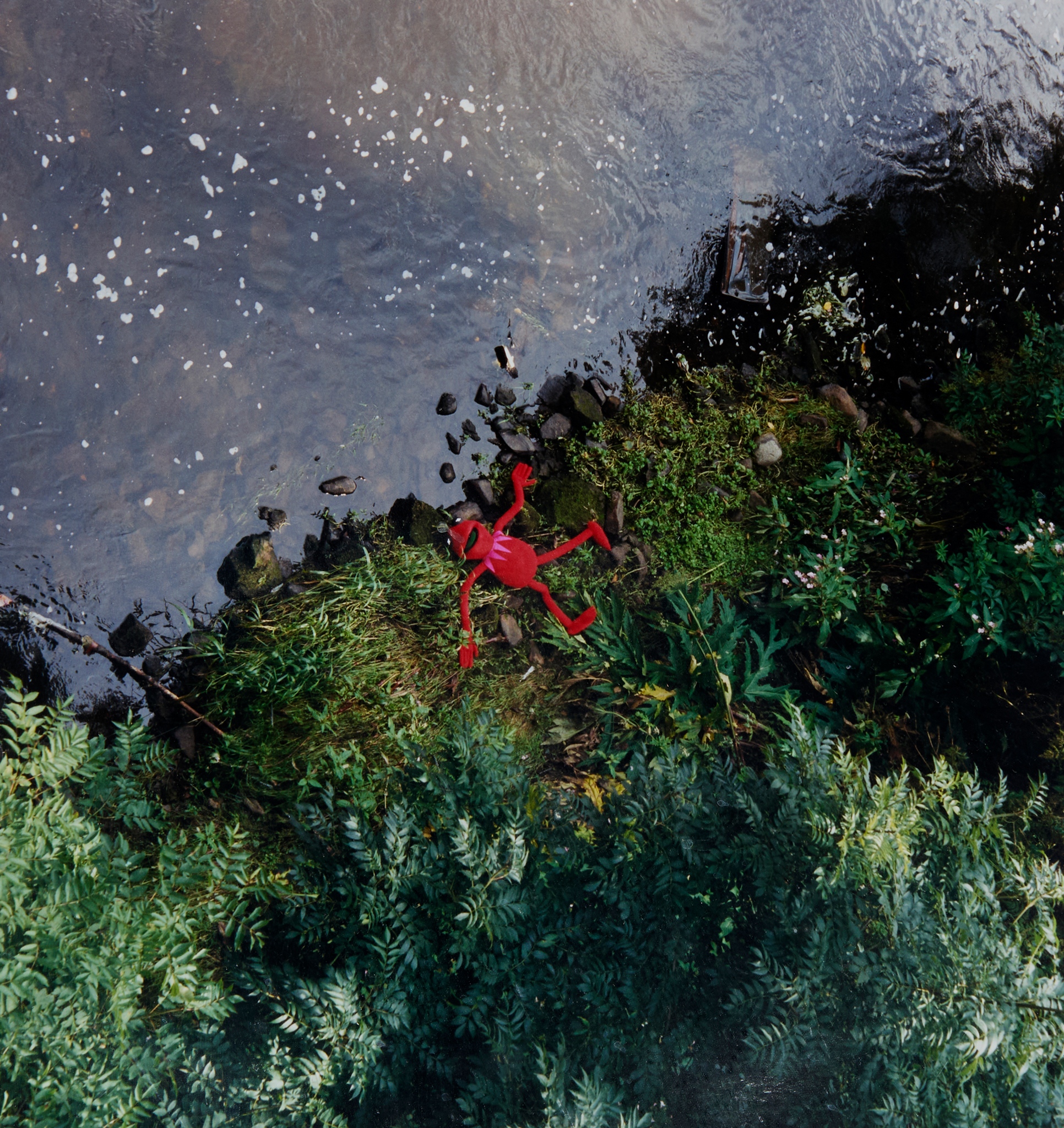 DAVID SHRIGLEY O.B.E. (BRITISH 1968-)