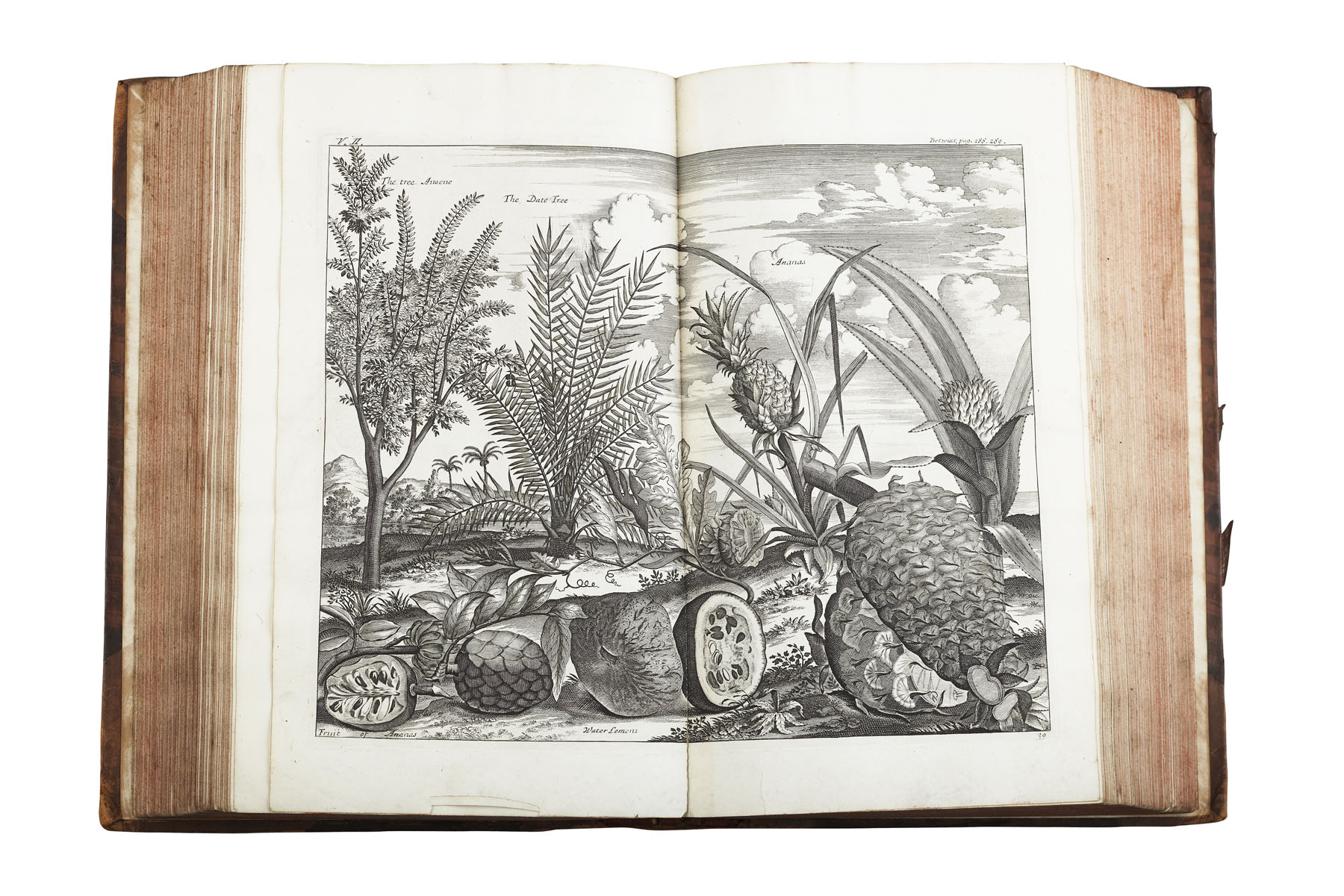 Churchill, Awnsham & John