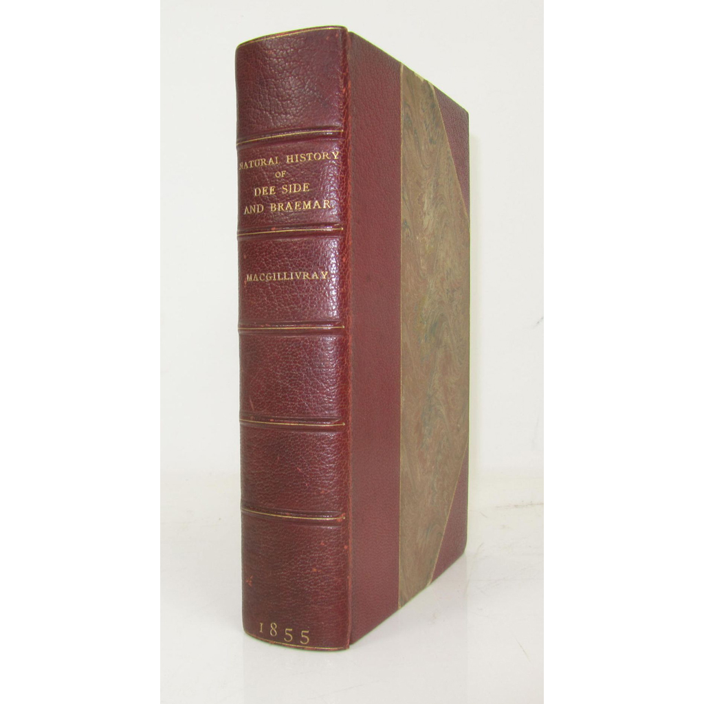 Deeside and Braemar - MacGilivray, William