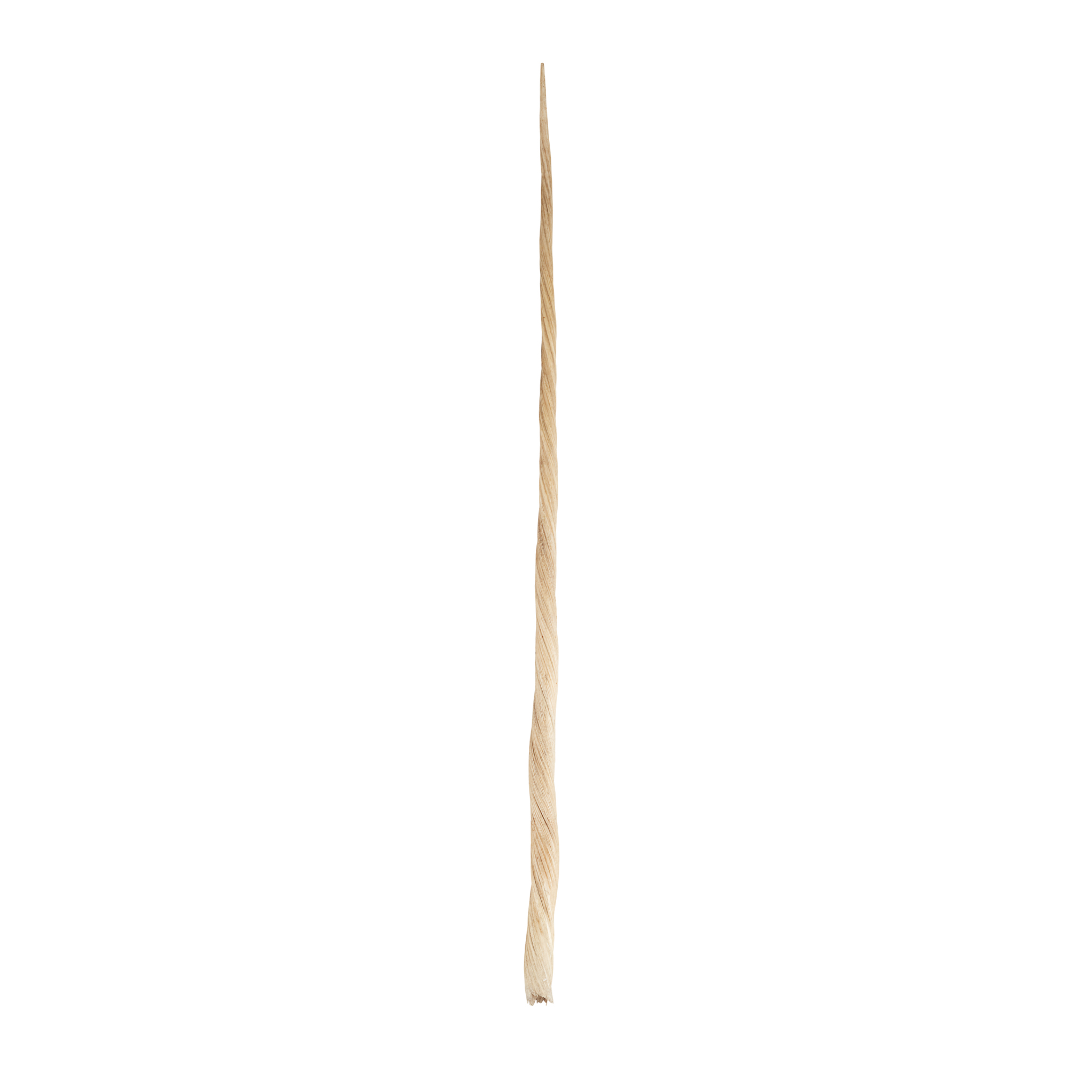 NARWHAL TUSK
