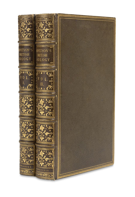 Hewitson, William C.