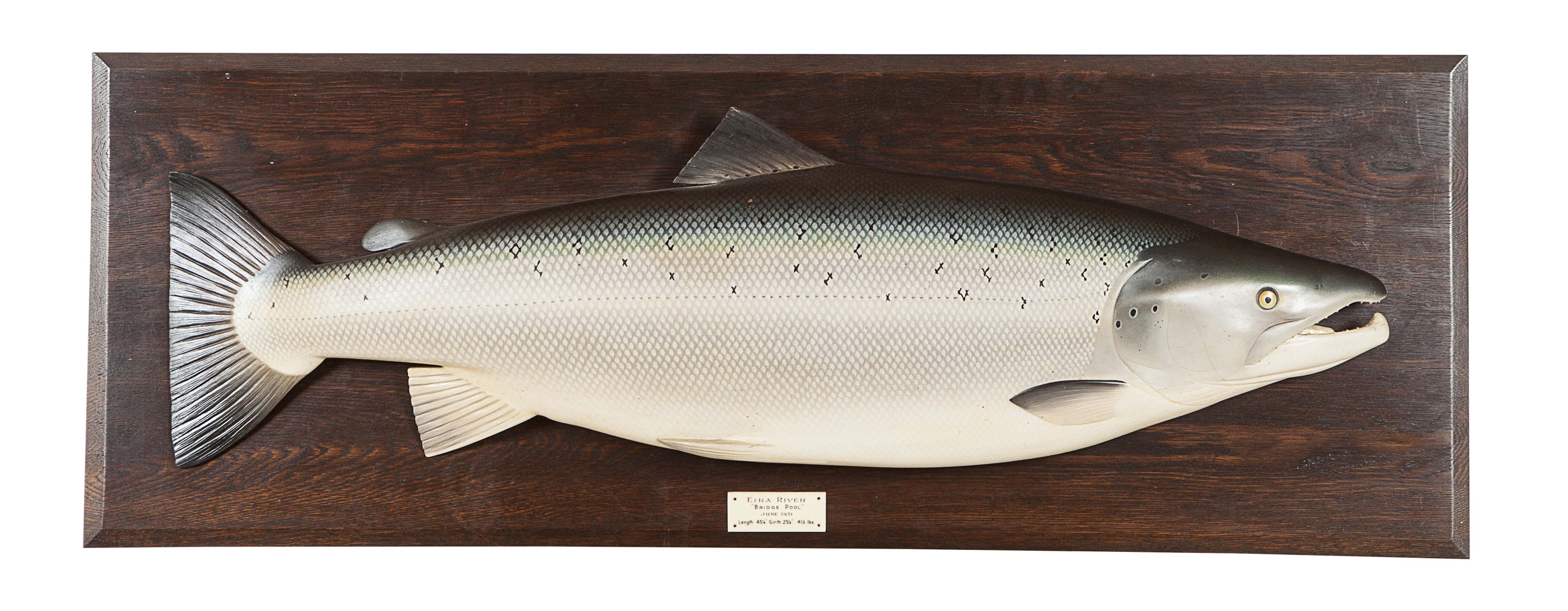 PAINTED MODEL OF A SALMON