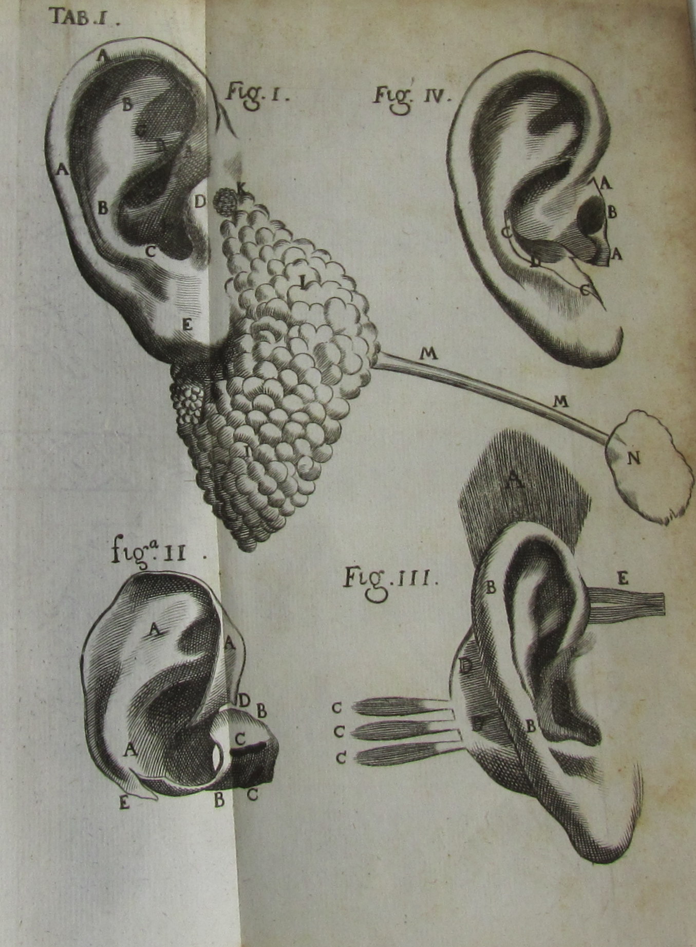 Valsalva, Antonio Maria