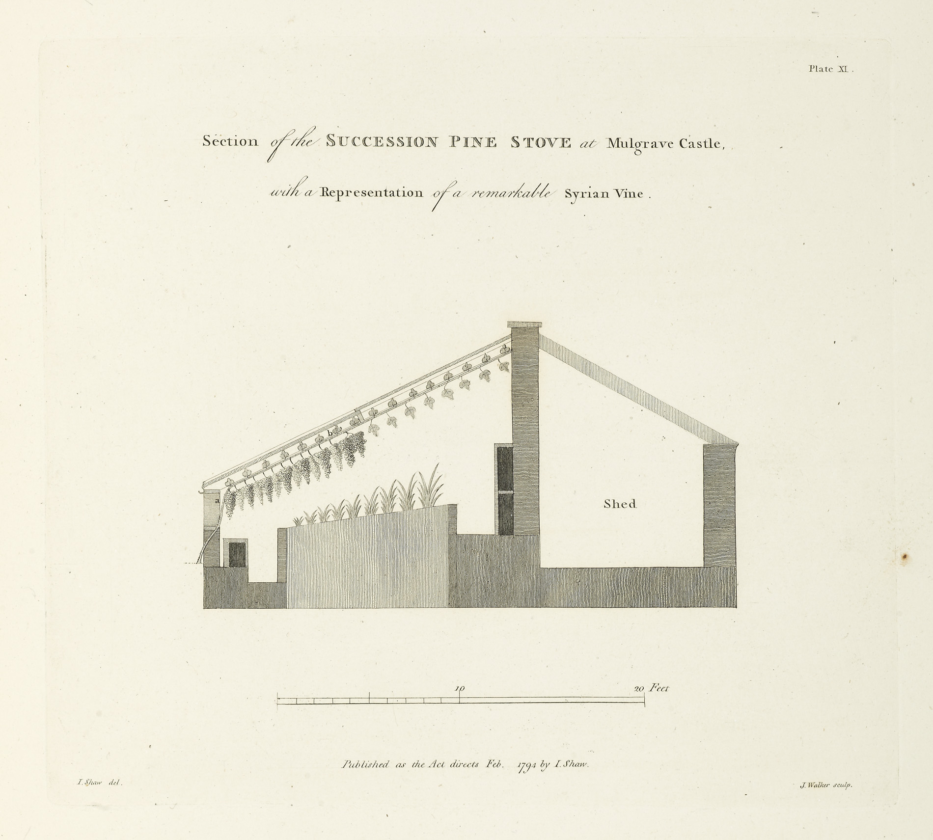 Shaw, James, gardener to The Right Hon. Lord Mulgrave