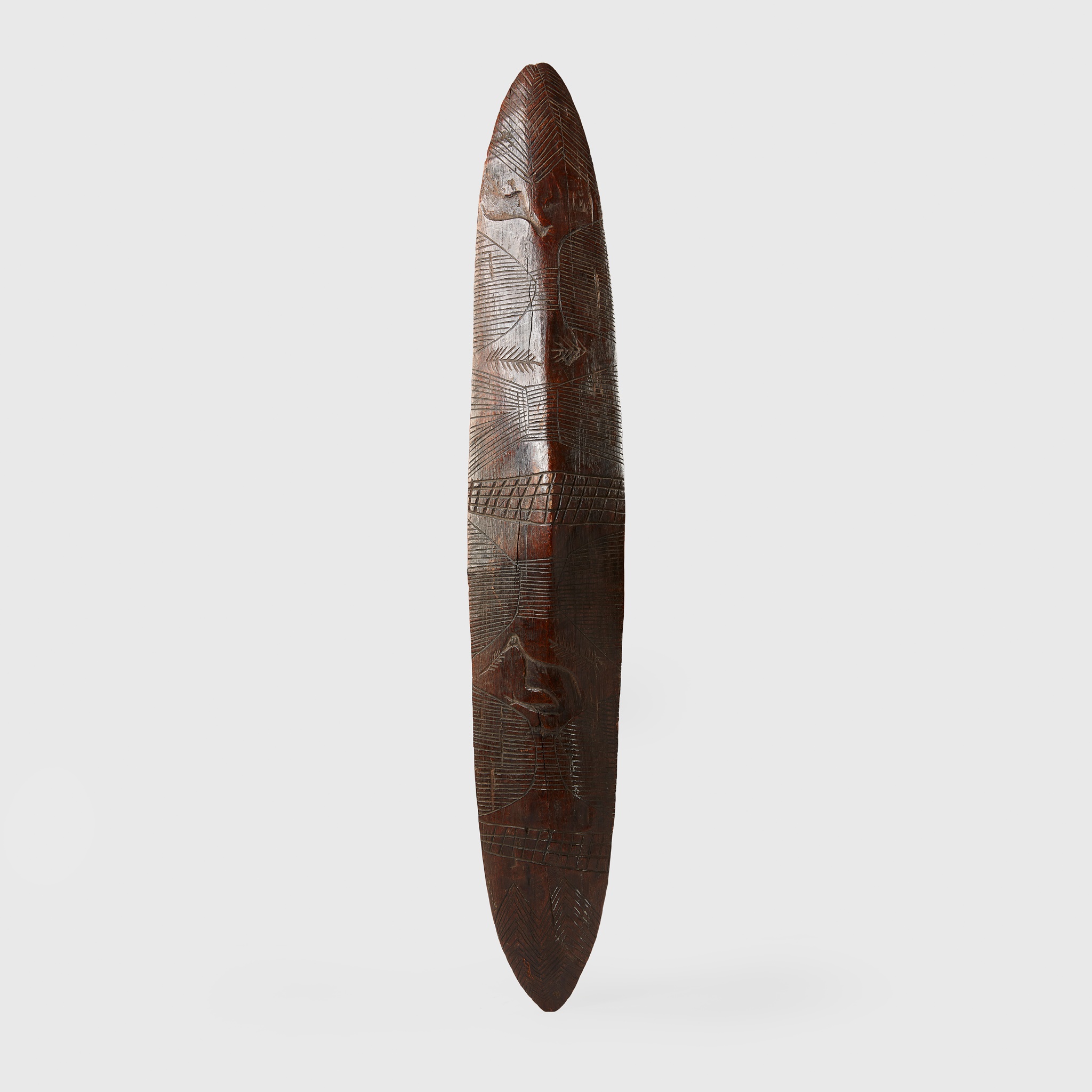 ABORIGINAL SHIELD