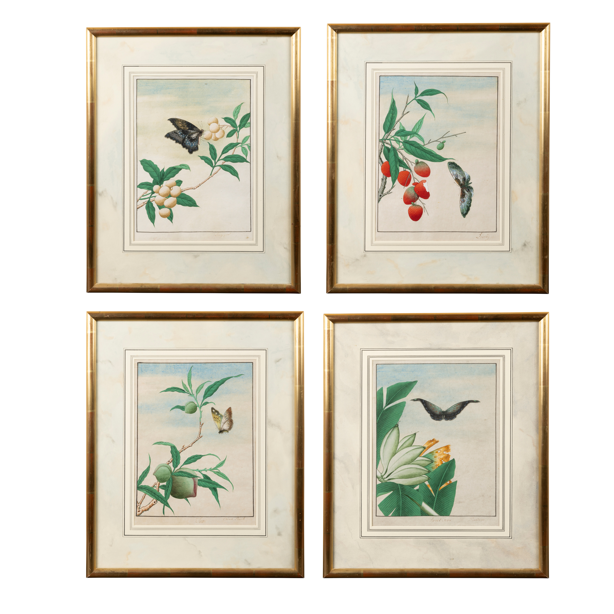 FINE SET OF FOUR CHINESE EXPORT 'BUTTERFLY WITH FRUIT' PAINTINGS