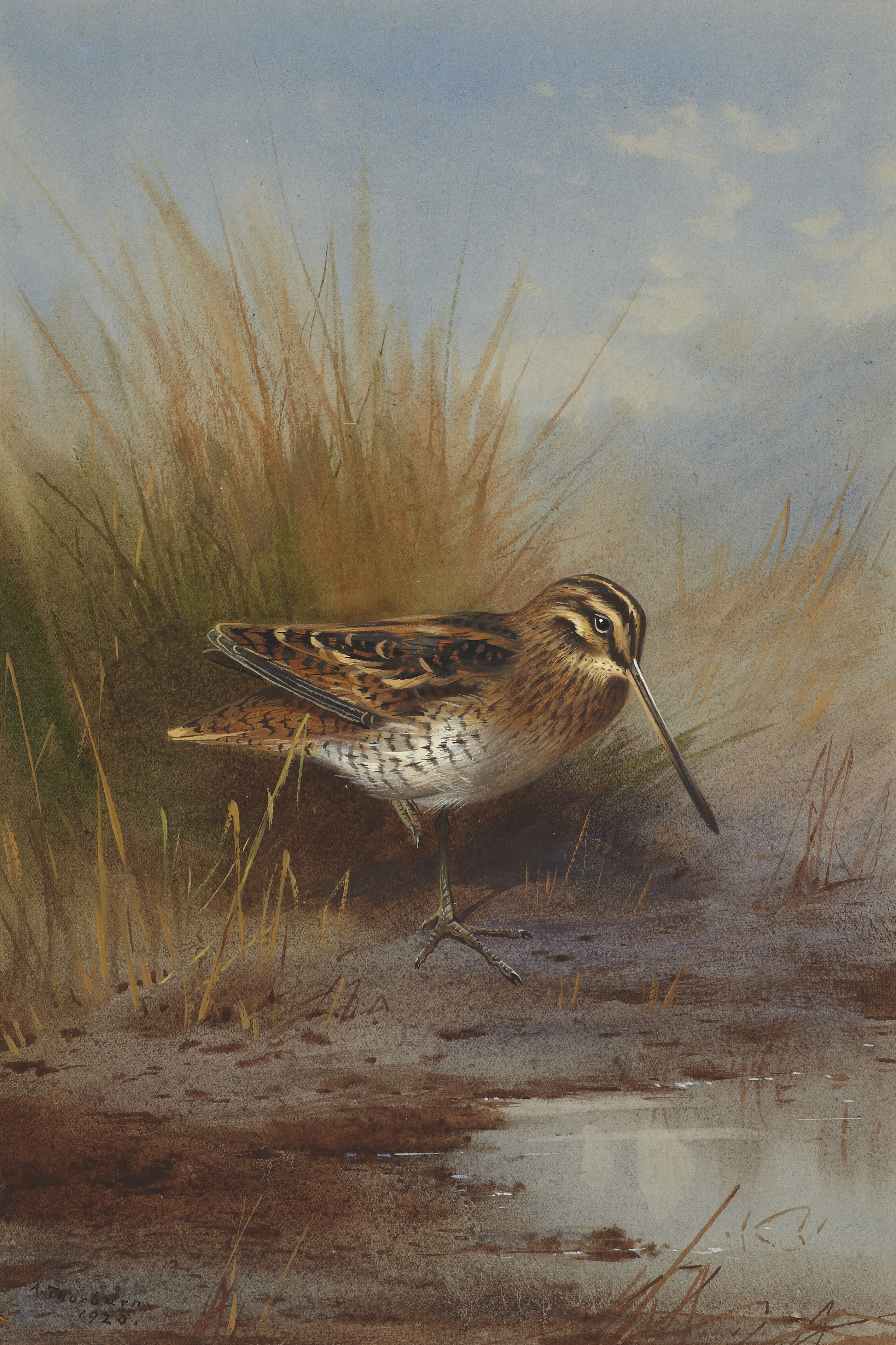 ARCHIBALD THORBURN (SCOTTISH 1860-1935)