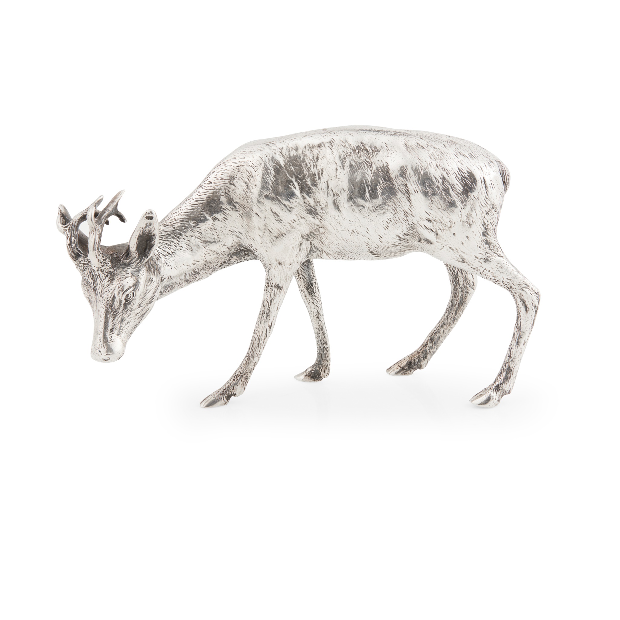 A CONTINENTAL MODEL OF A ROE DEER STAG