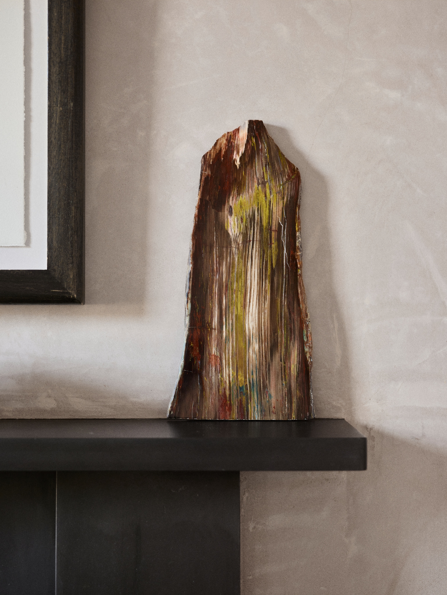 FOSSILIZED COLLA WOOD SECTION