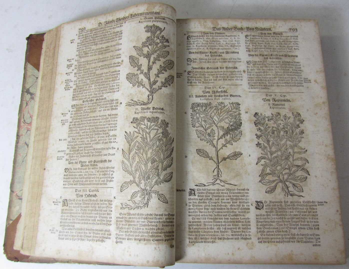 Tabernaemontanus, Jacobus Theodorus