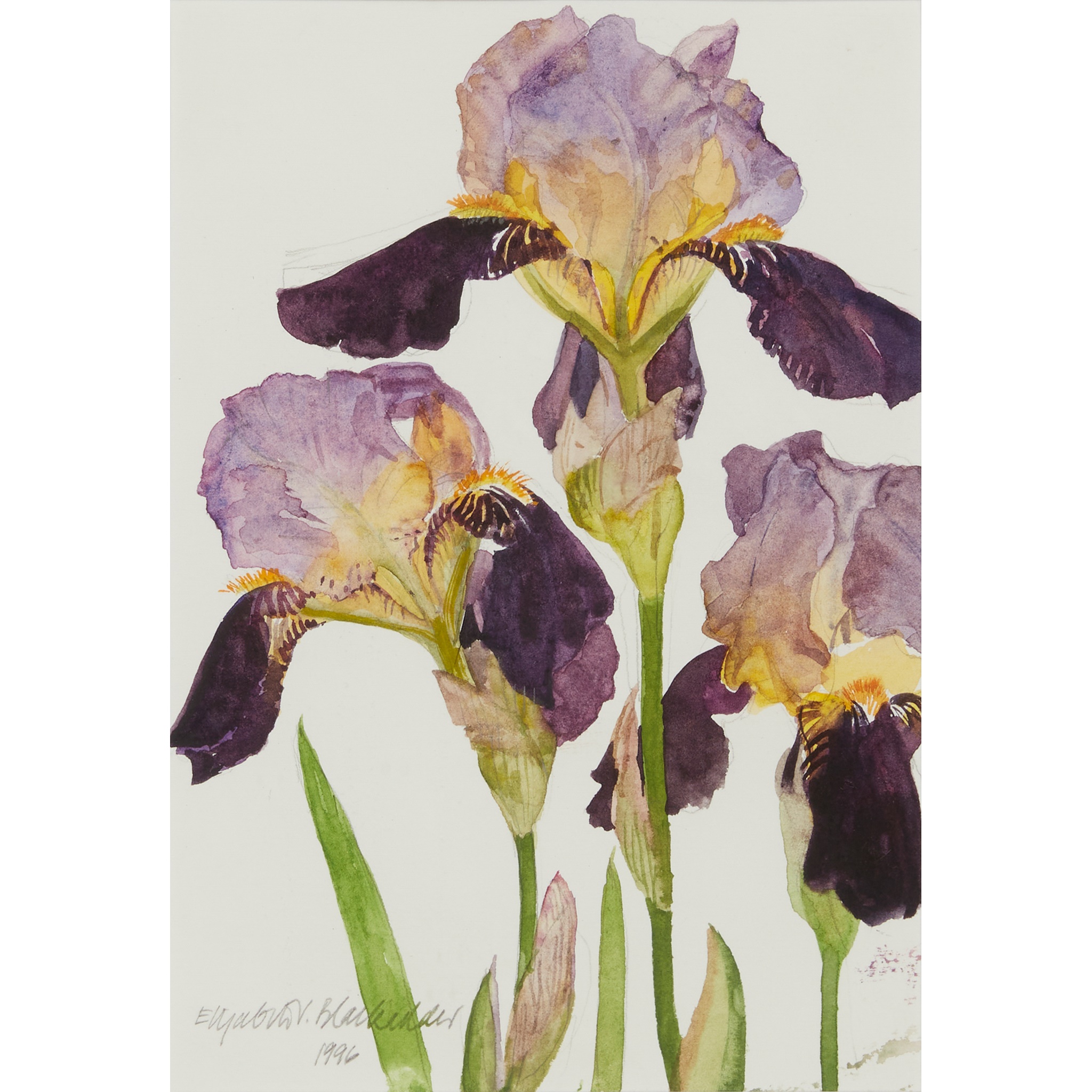 DAME ELIZABETH BLACKADDER O.B.E., R.A., R.S.A., R.S.W., R.G.I., D.Litt (SCOTTISH 1931-2021)