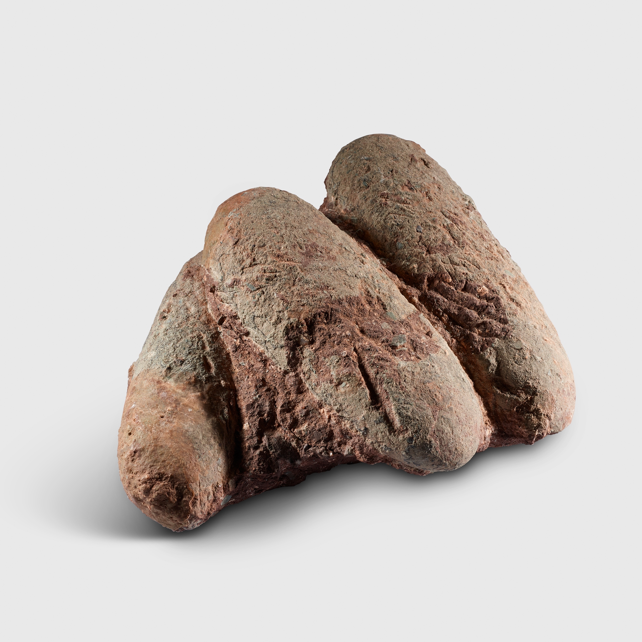 OVIRAPTOR DINOSAUR EGG NEST
