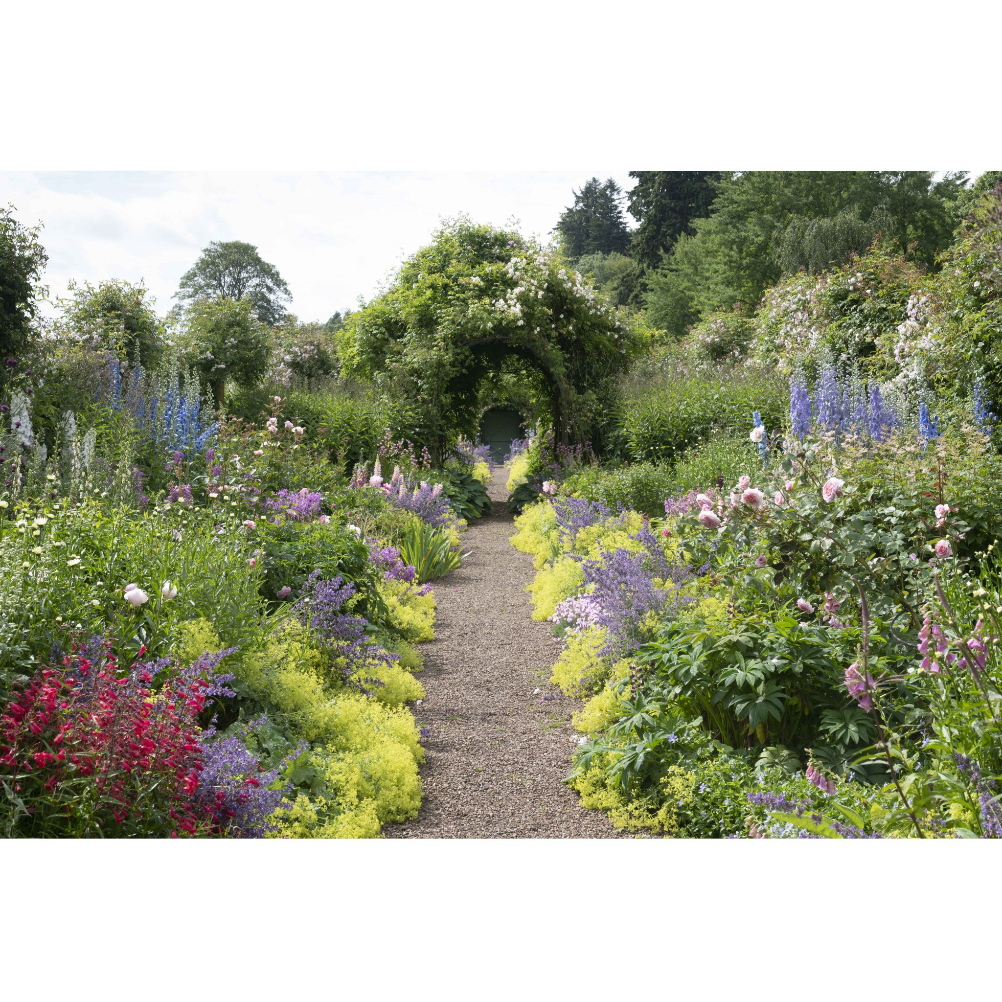 DRINKS AND A SUMMER LUNCH OR DINNER FOR 18 AT CAROLSIDE HOUSE WITH A TOUR OF THE GARDENS