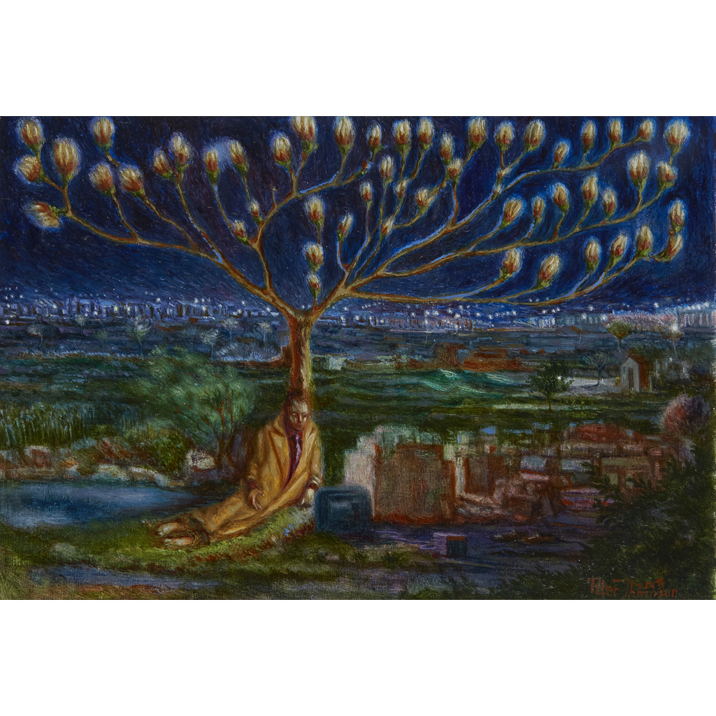 PETER THOMSON (SCOTTISH B.1962)