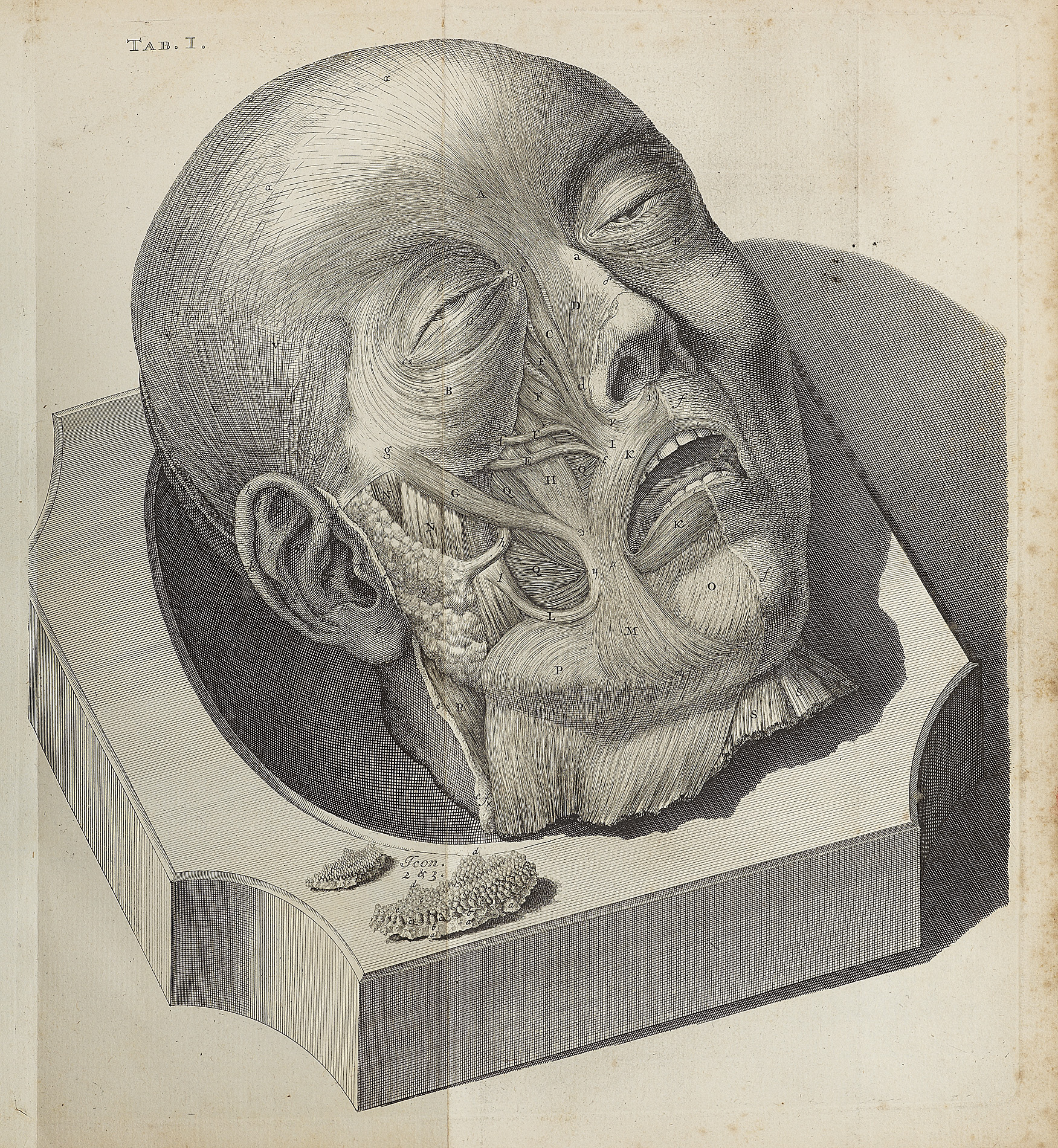 Courcelles, David Cornelis de