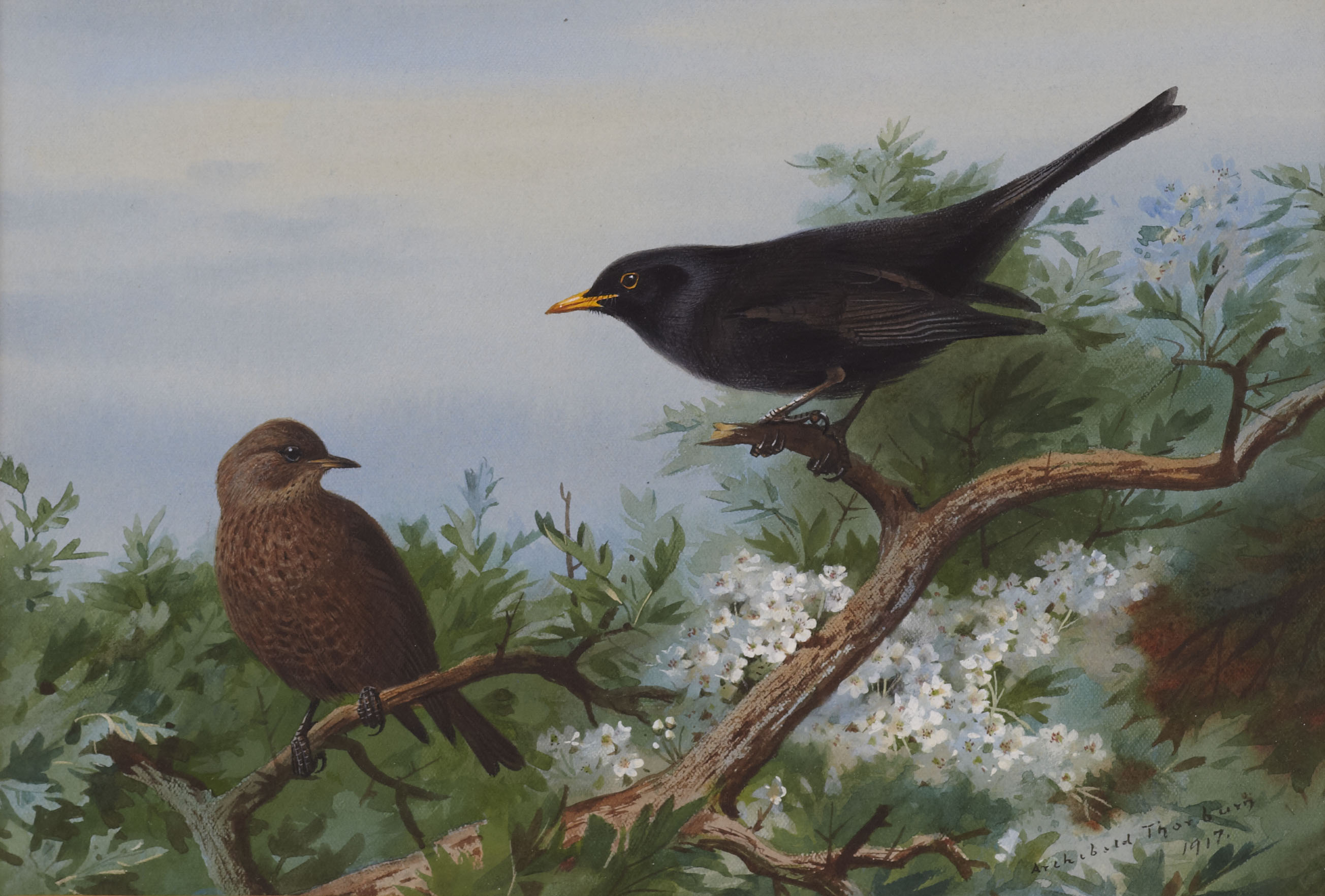 ARCHIBALD THORBURN (BRITISH 1860-1935)