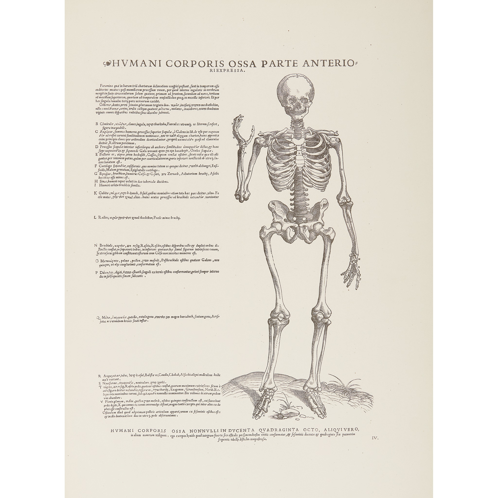 Stirling-Maxwell, Sir William (publisher) - Vesalius, Andreas