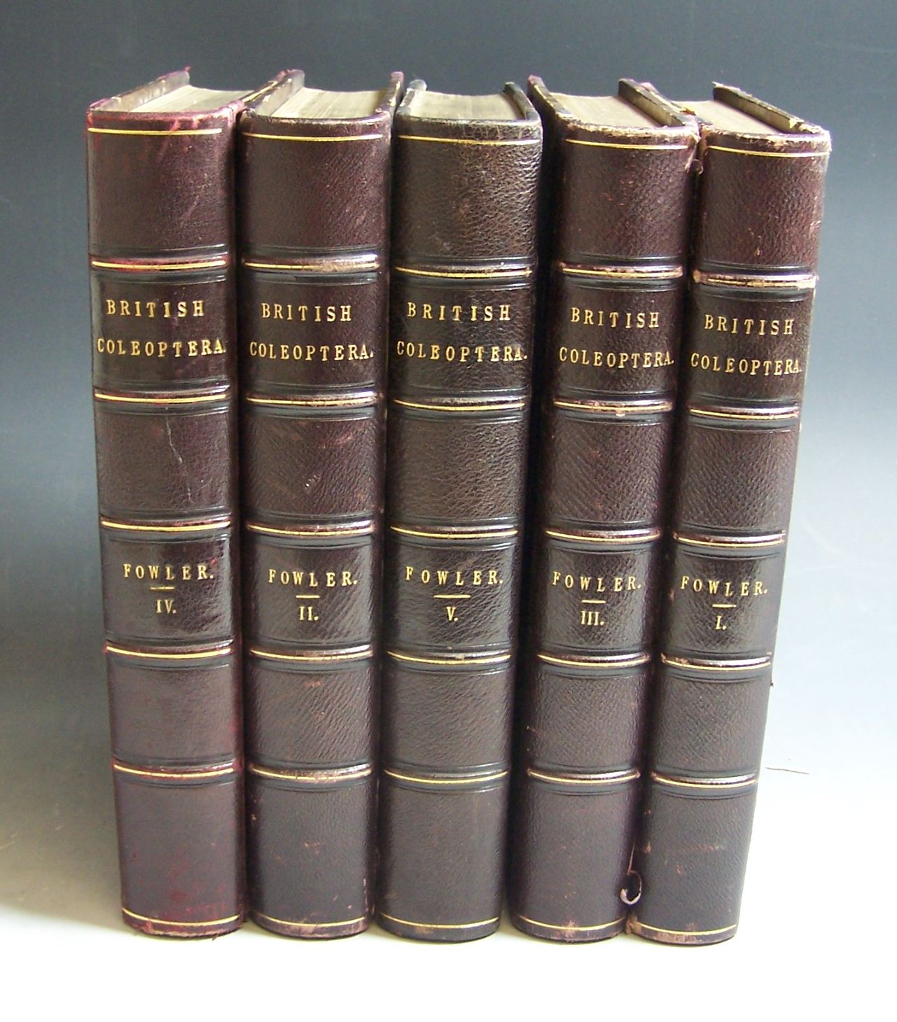 Entomology--Fowler, W.W.