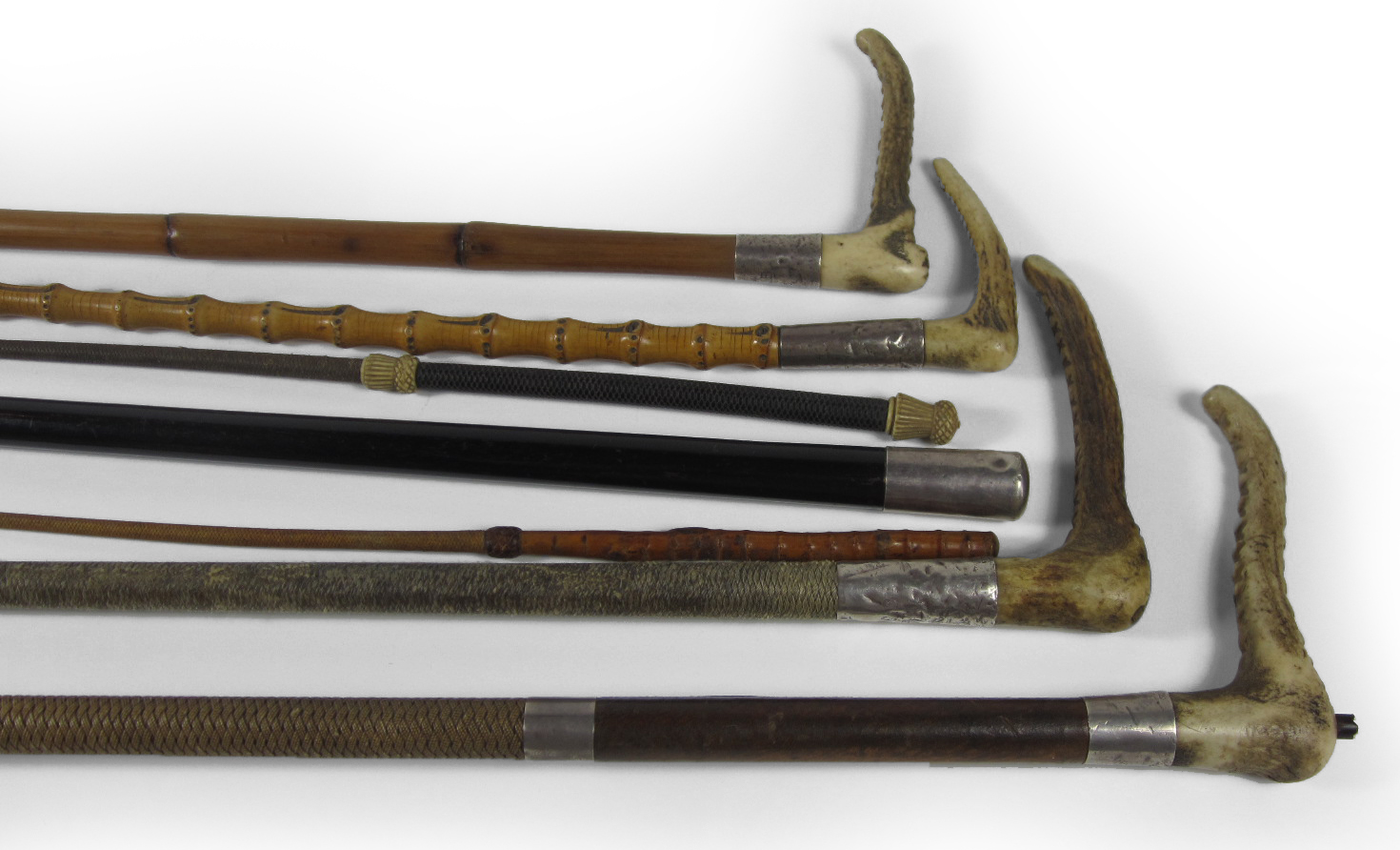 COLLECTION OF WHIPS AND CANES