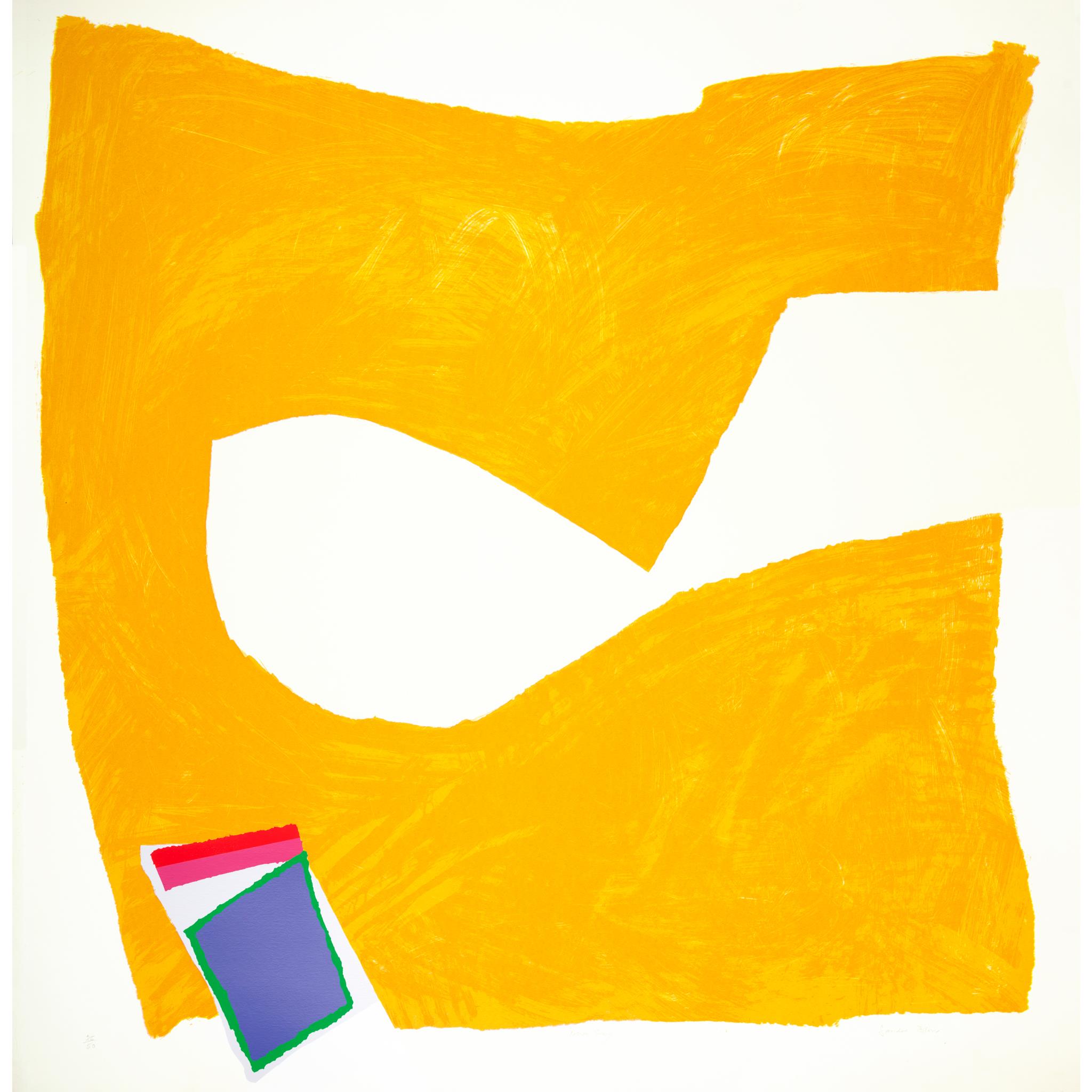 SANDRA BLOW R.A. (BRITISH 1925-2006)