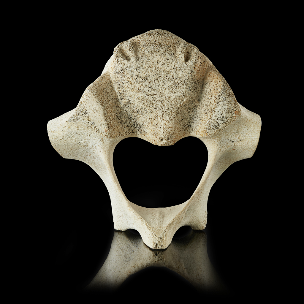 INUIT WHALE VERTEBRAE CARVING