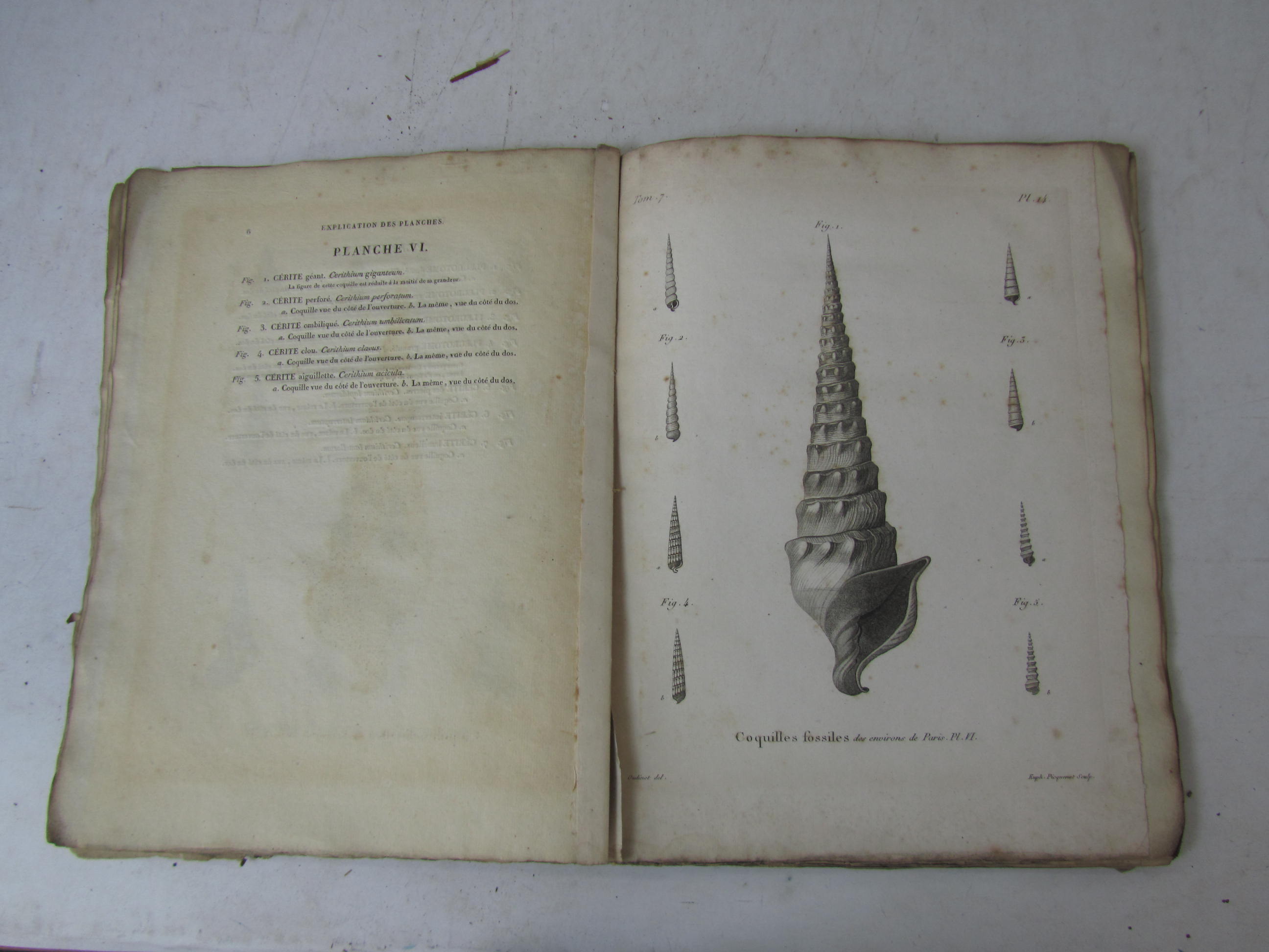 Lamarck Jean Baptiste de