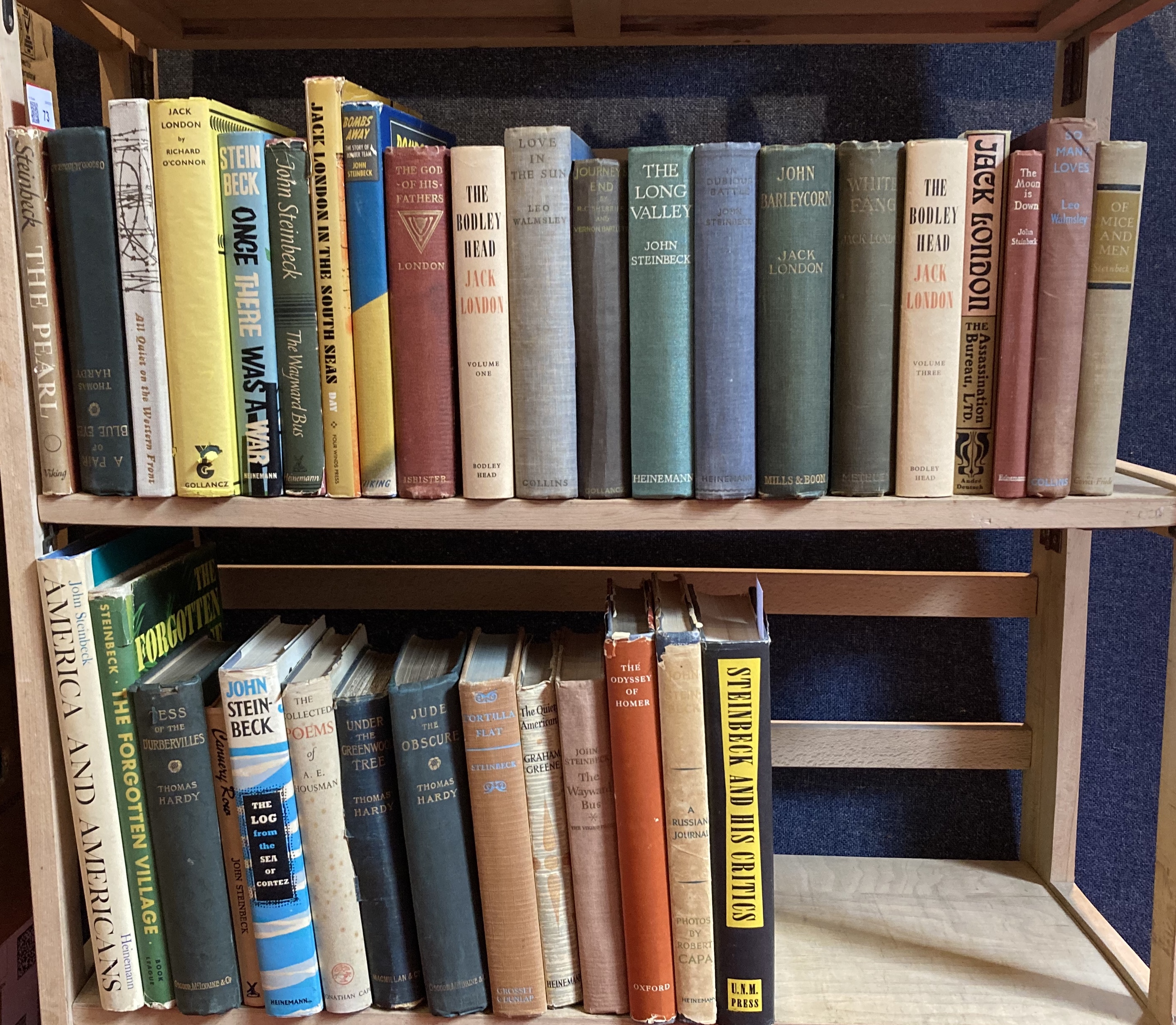 A collection of literature, mainly 20th century