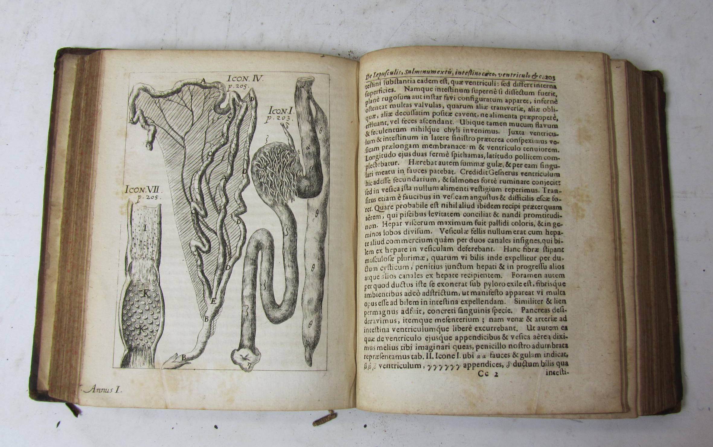 Acadamiae Caesareae Naturae Curiosum