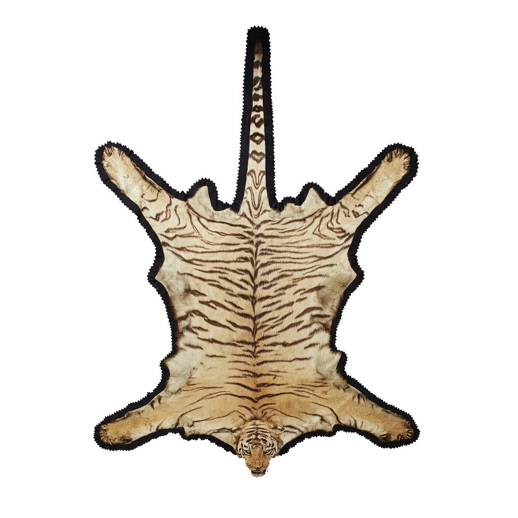 VAN INGEN & VAN INGEN TIGER SKIN