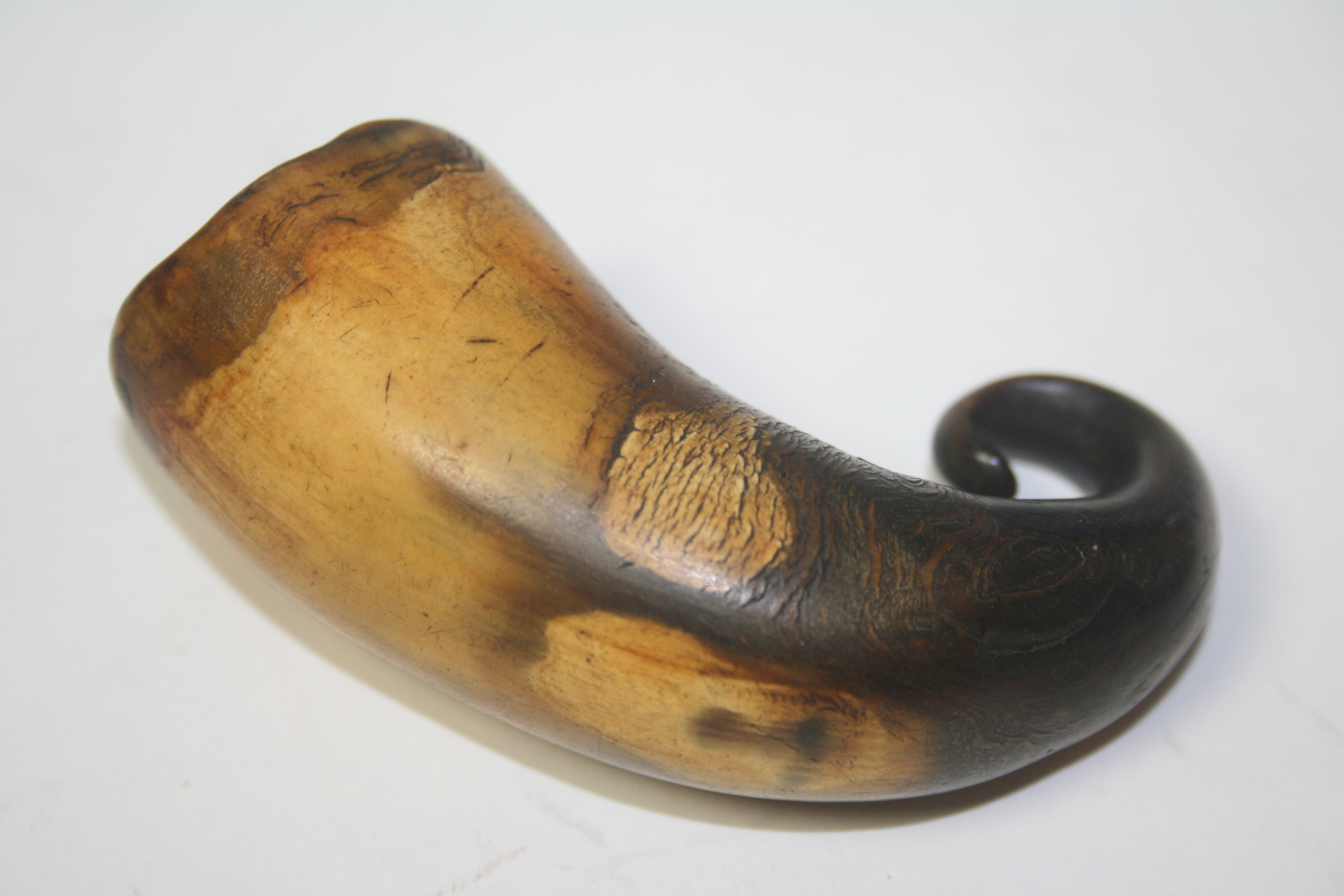 An early curly horn snuff mull