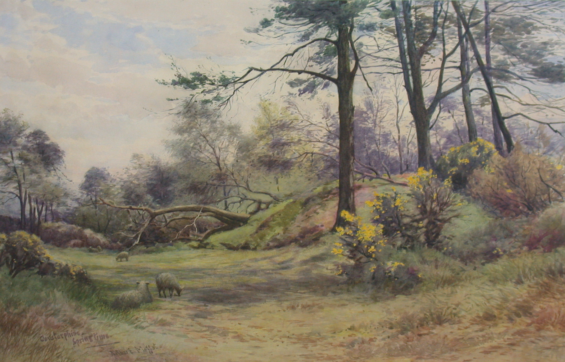 ARTHUR ELWELL MOFFAT (FL. 1880-1902) SCOTTISH