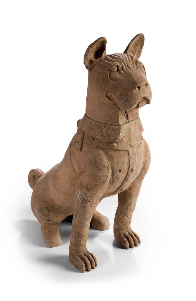 A Chinese pottery model of Shitzu dog, Han dynasty