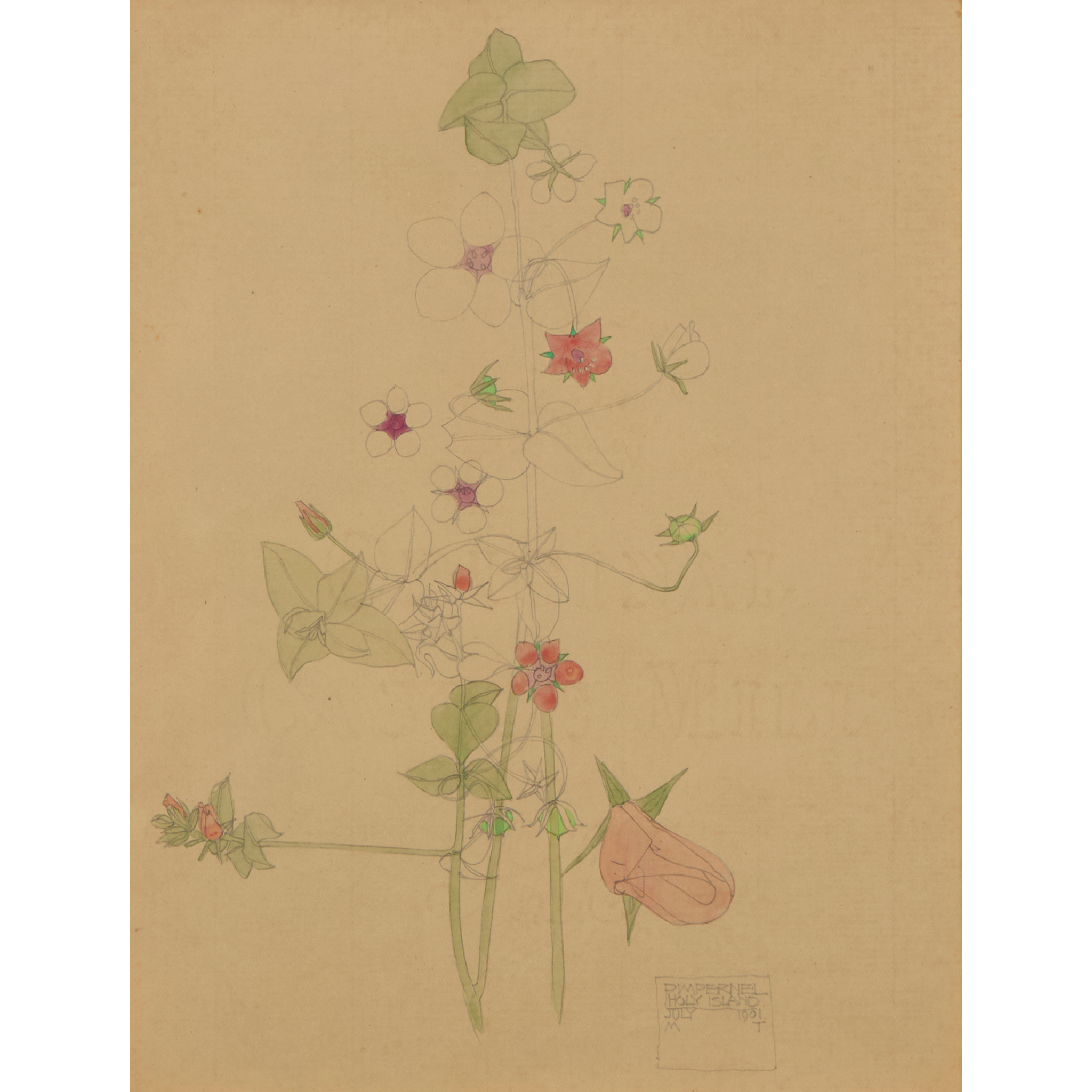 CHARLES RENNIE MACKINTOSH (1868-1928)