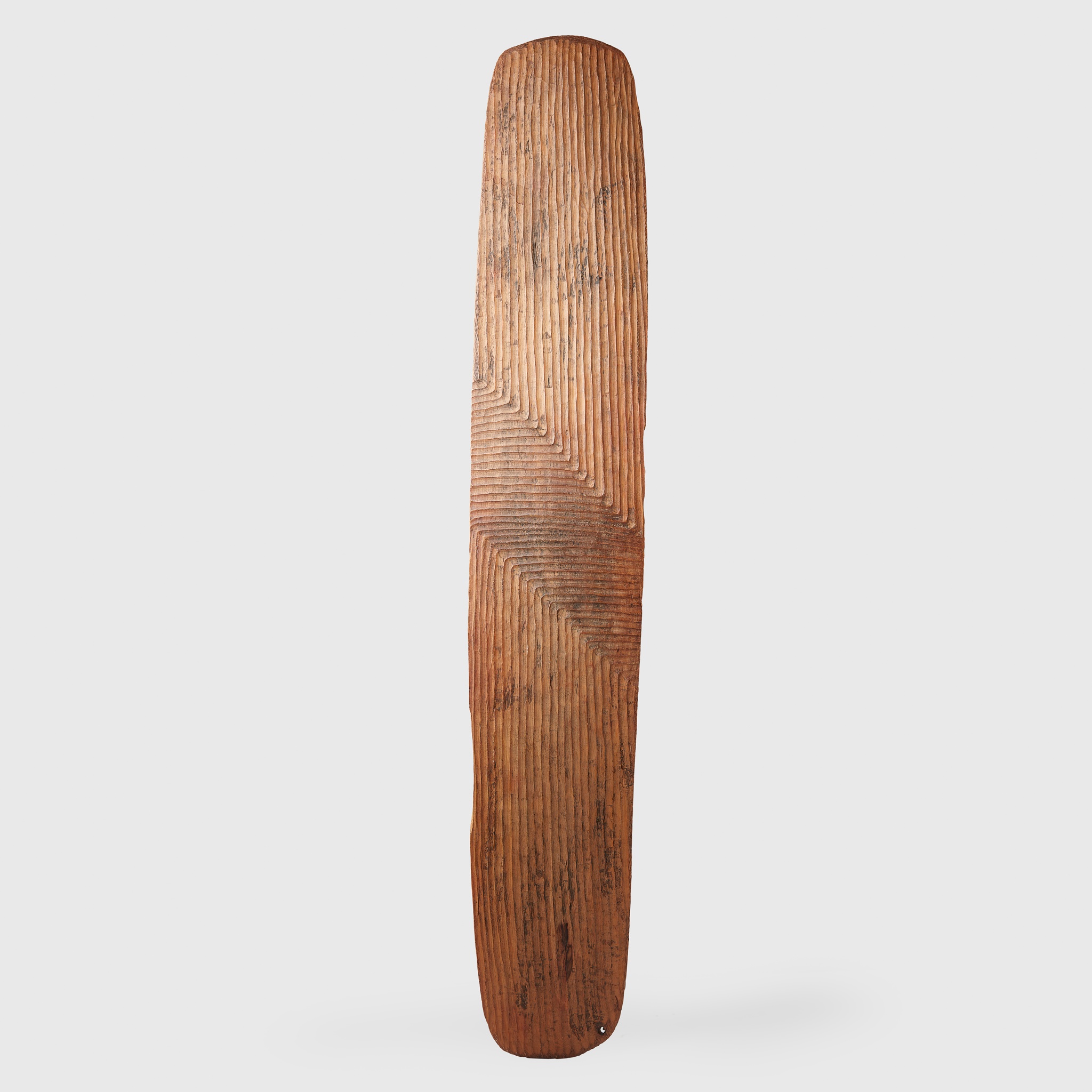 ABORIGINAL WAR SHIELD, WUNDA