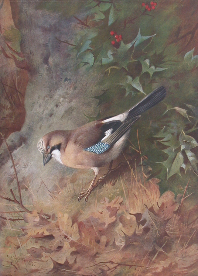 ARCHIBALD THORBURN (1860-1935)