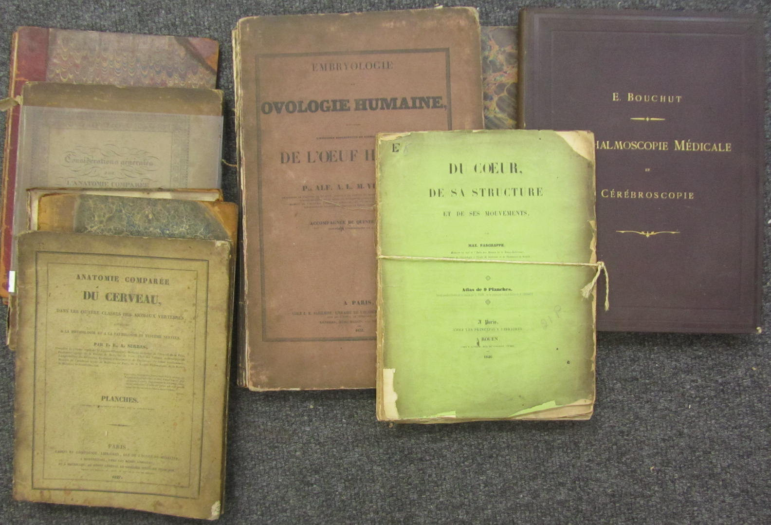 French medicine and natural history, including Velpeau, A.A.L.M.