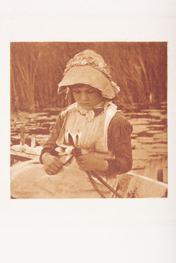 Emerson, Peter Henry