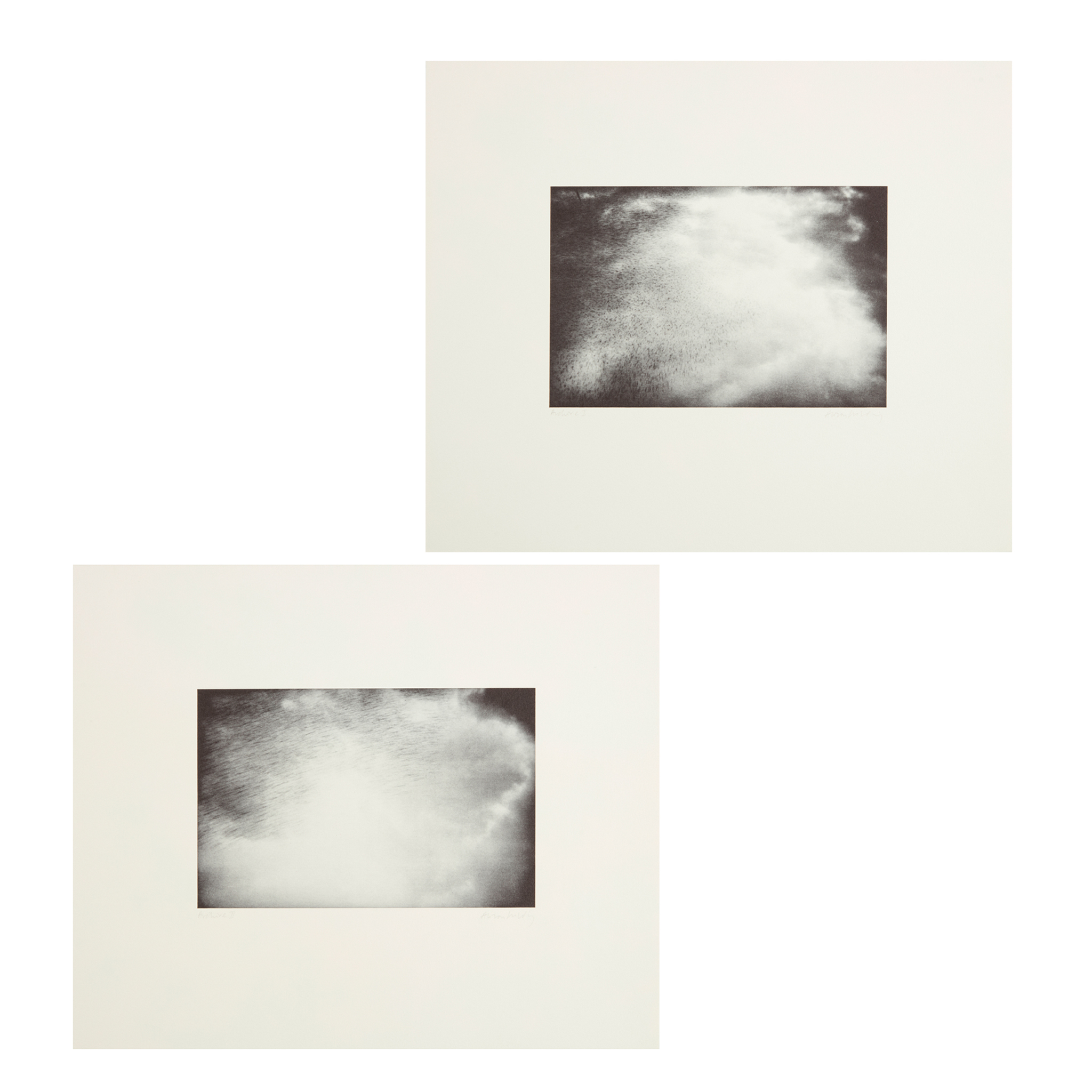 ALISON WILDING O.B.E., R.A. (BRITISH 1948-)