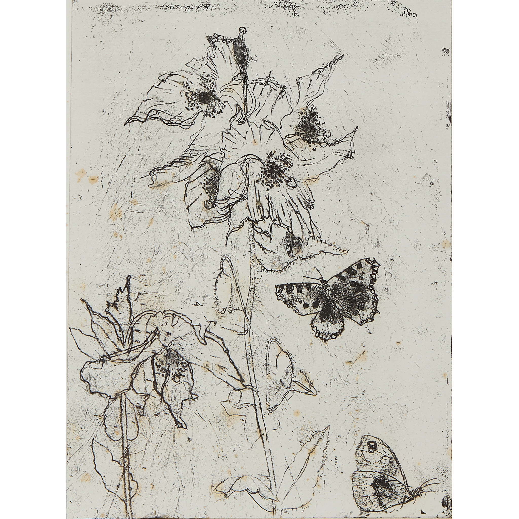 DAME ELIZABETH BLACKADDER O.B.E., R.A., R.S.A., R.S.W., R.G.I., D.Litt (SCOTTISH 1931-2021)