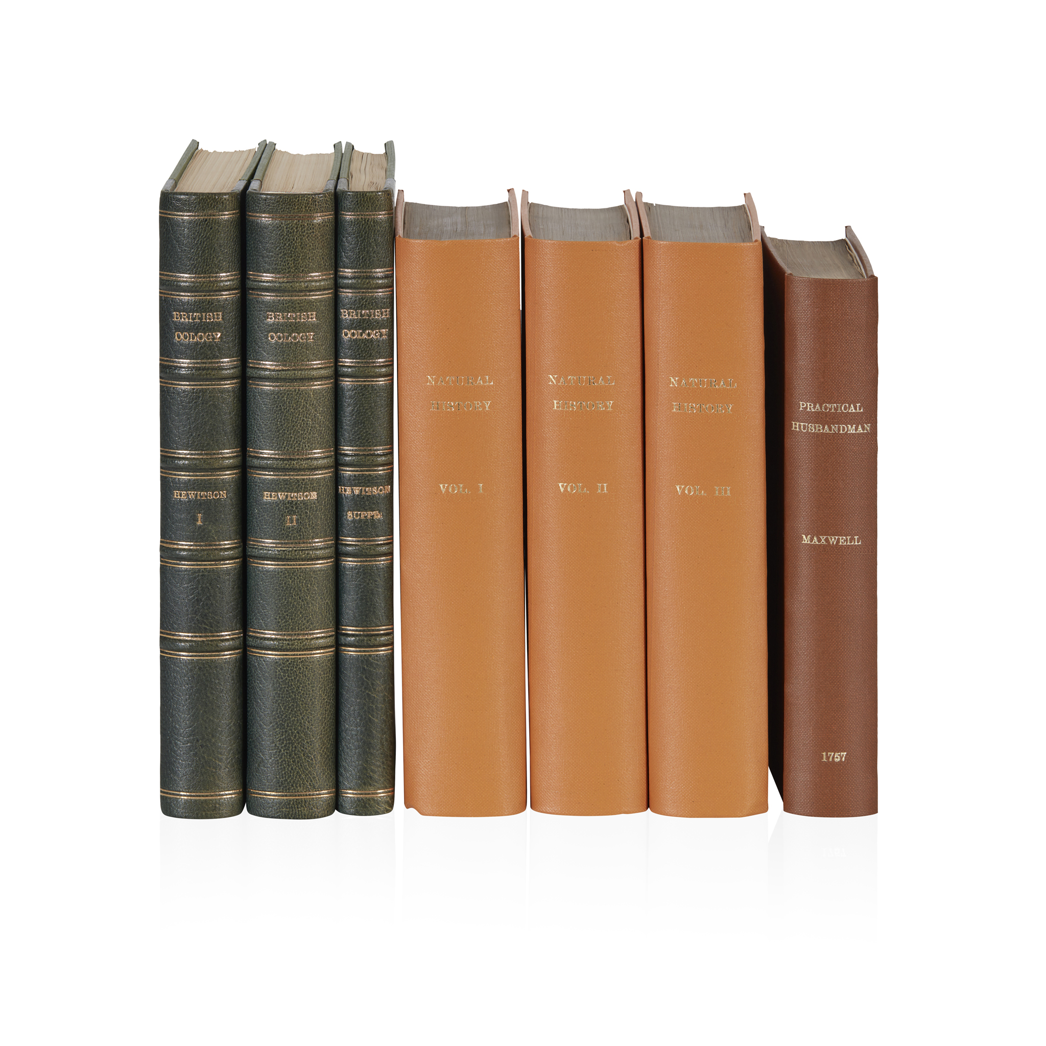 Hewitson, William C.