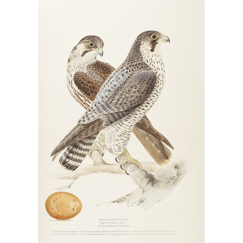 Meyer, Henry Leonard